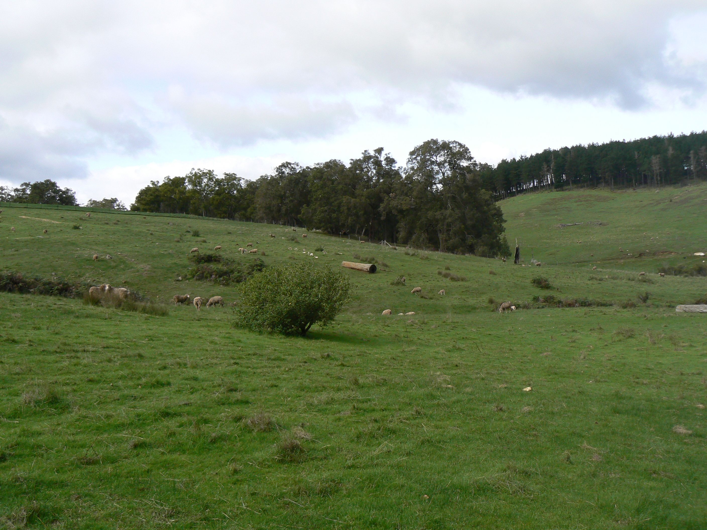 Real Estate For Sale Lot 2 Upper Capel Road Upper Capel , WA