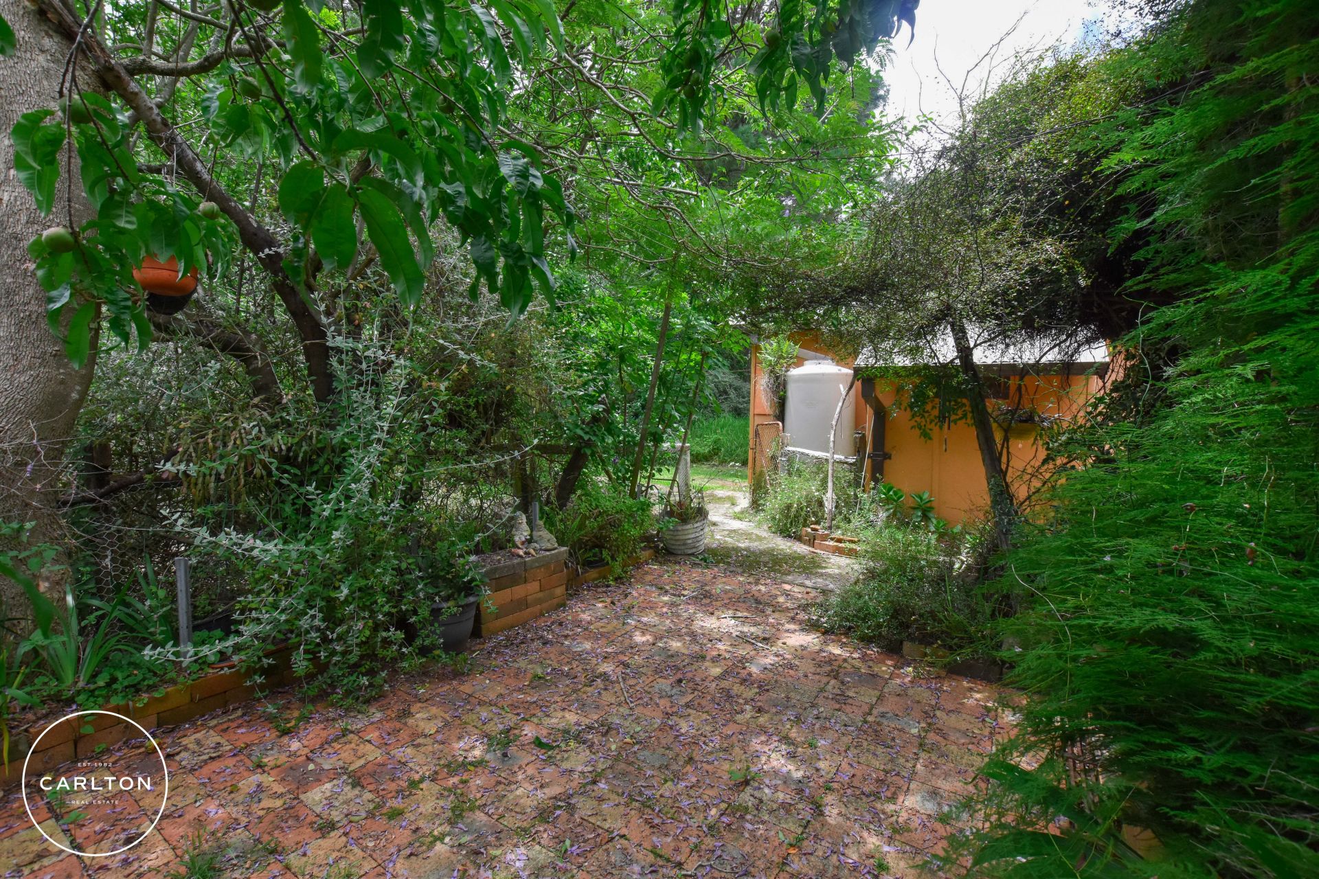 15 Aylmerton Road, Aylmerton Carlton Real Estate