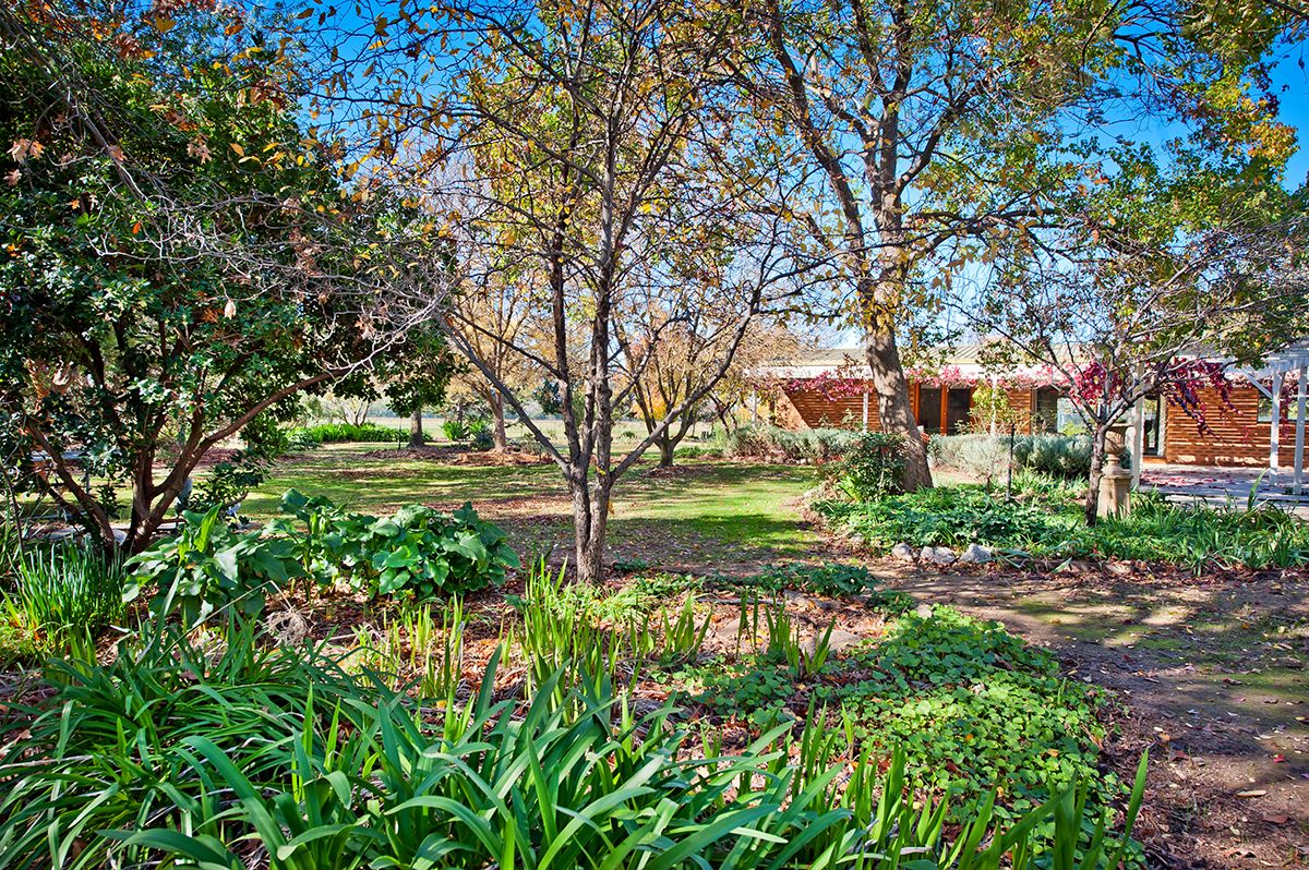 Real Estate For Sale 277 Burma Road Table Top , NSW