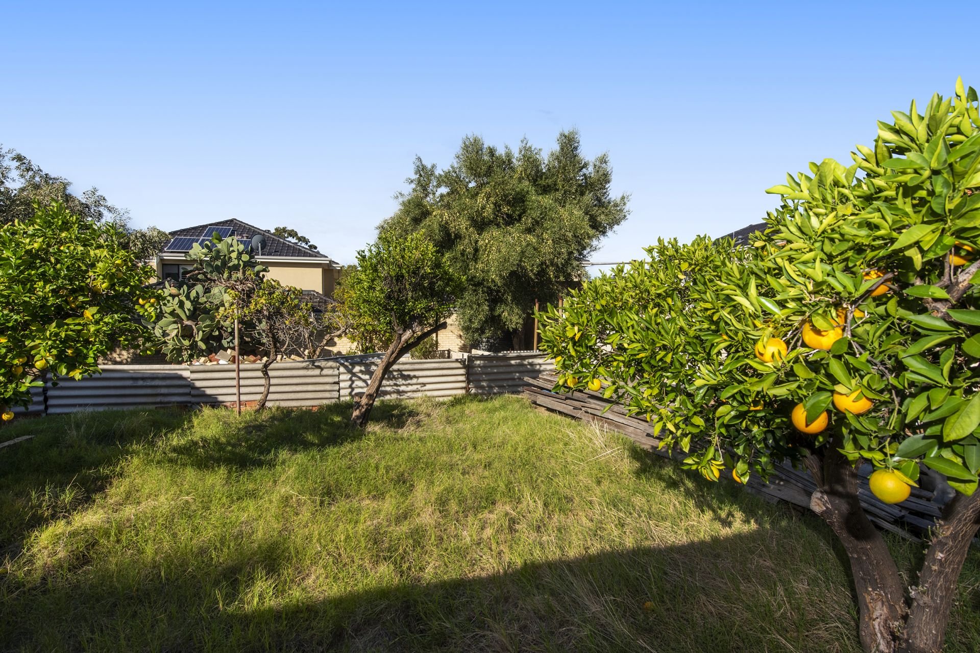 58 Burt Street, North Perth Growth Realty