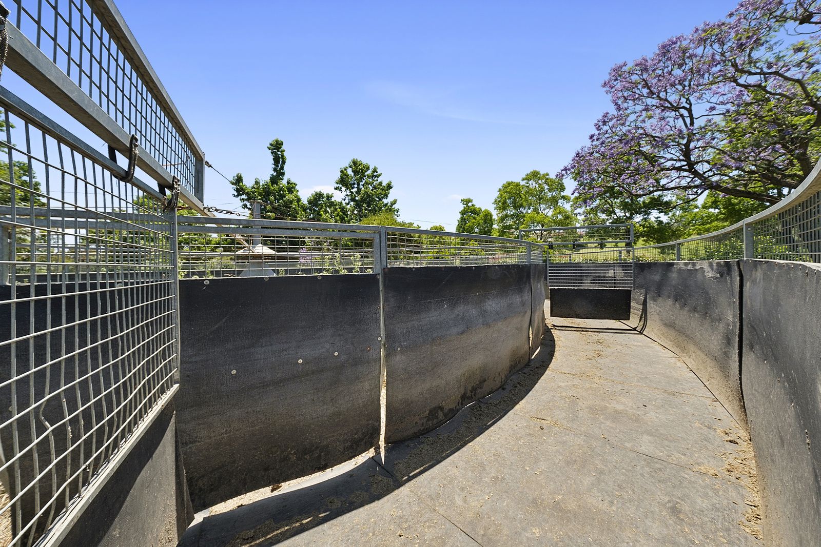 Real Estate For Sale Freemans Reach , NSW