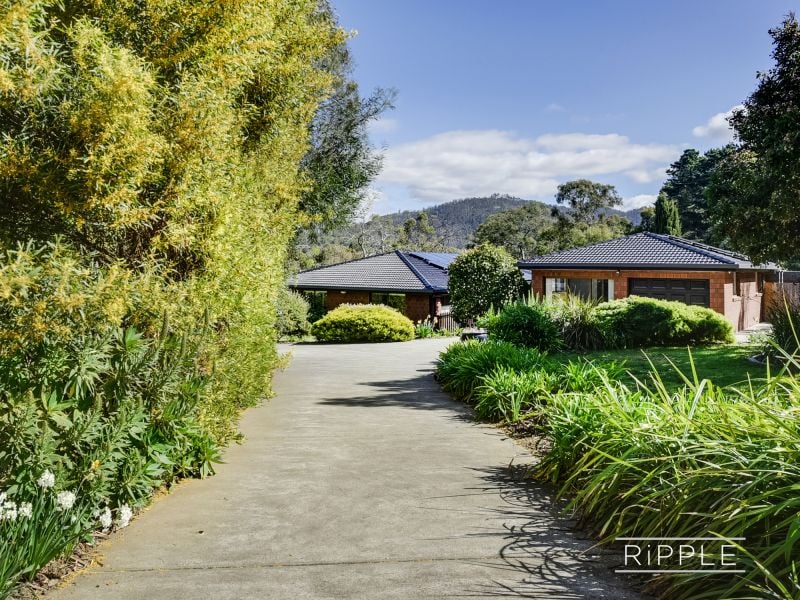 Real Estate For Sale 195 Nowra Road Roches Beach , TAS