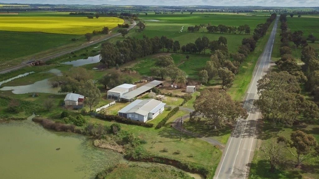 Real Estate For Sale 50 Old Junee Rd JUNEE , NSW