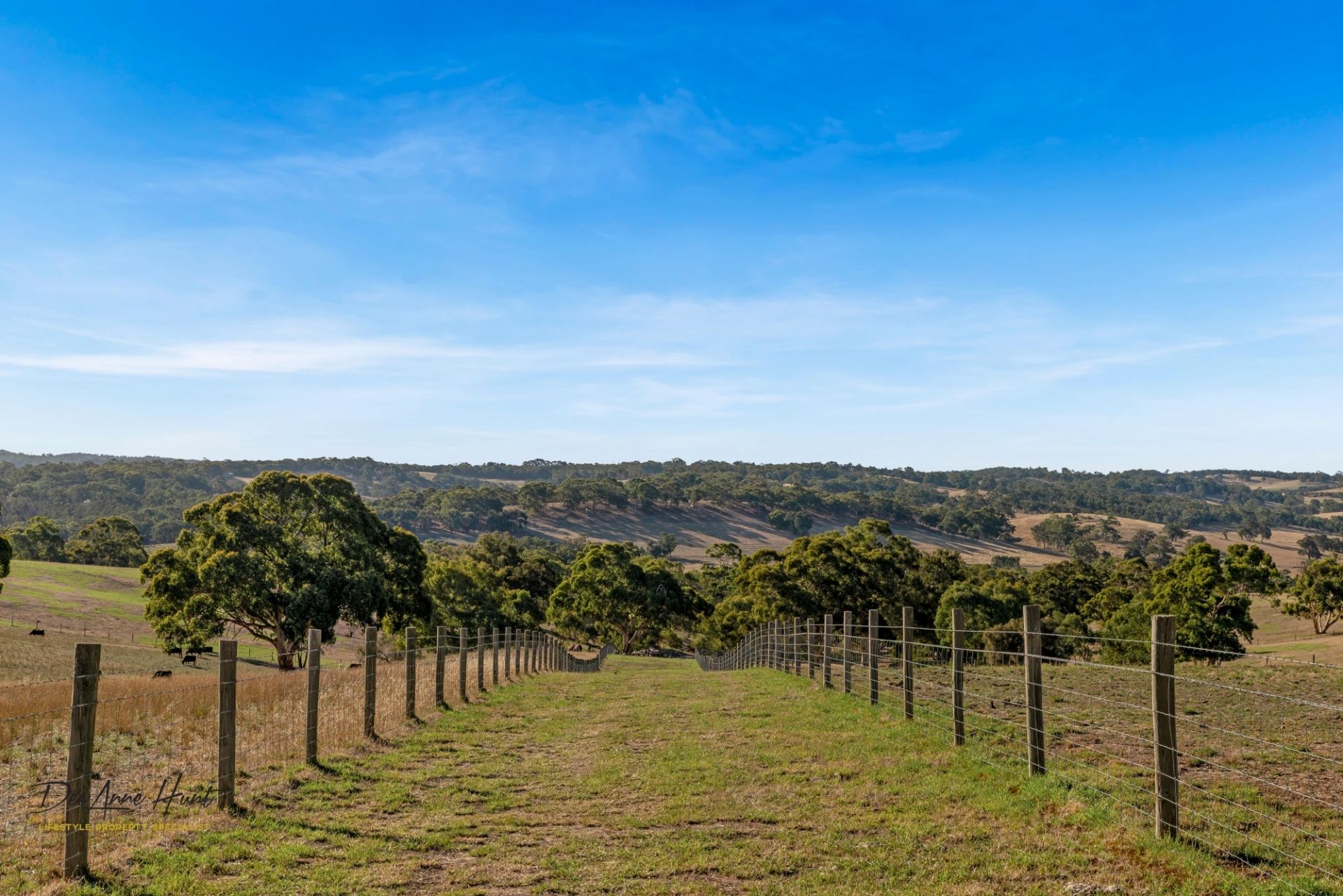 290 Gemmell Road, Macclesfield Williams Real Estate