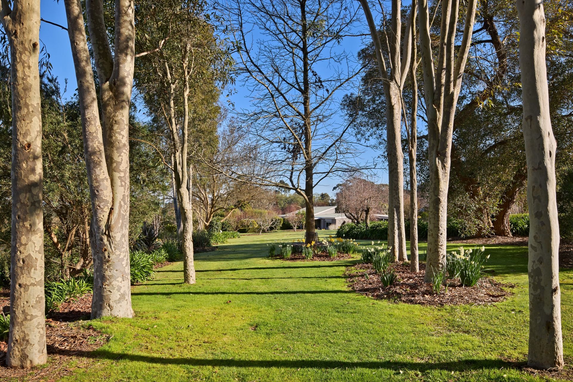 116 Gibson Road, Warragul OBrien Real Estate