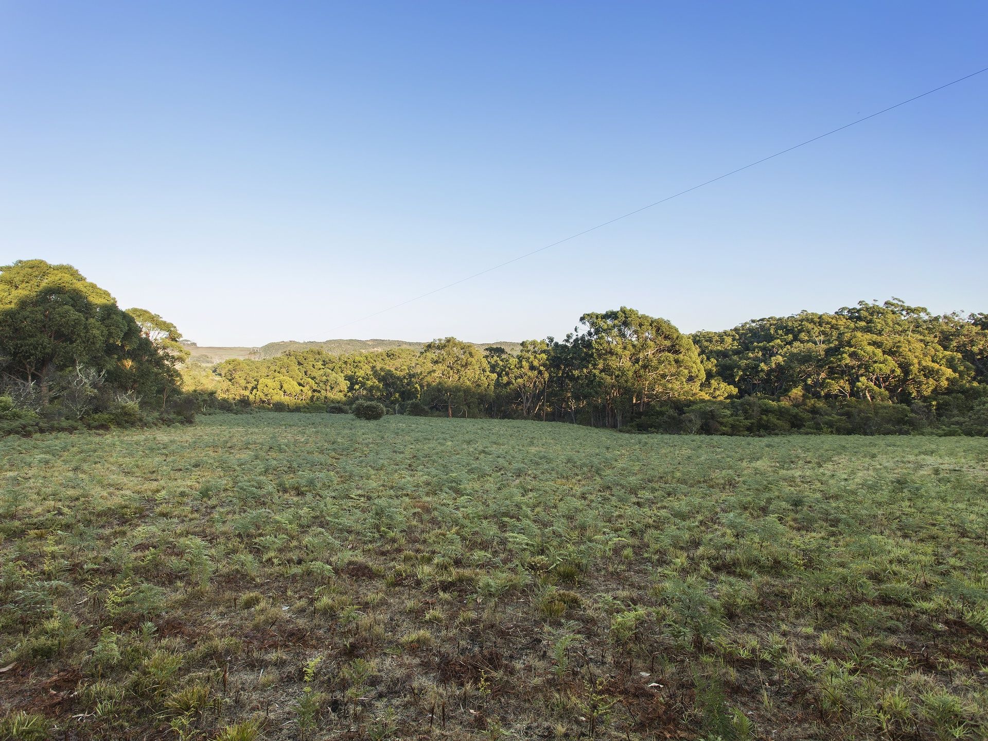 Real Estate For Sale 6/615 Hordern Vale Road Hordern Vale , VIC