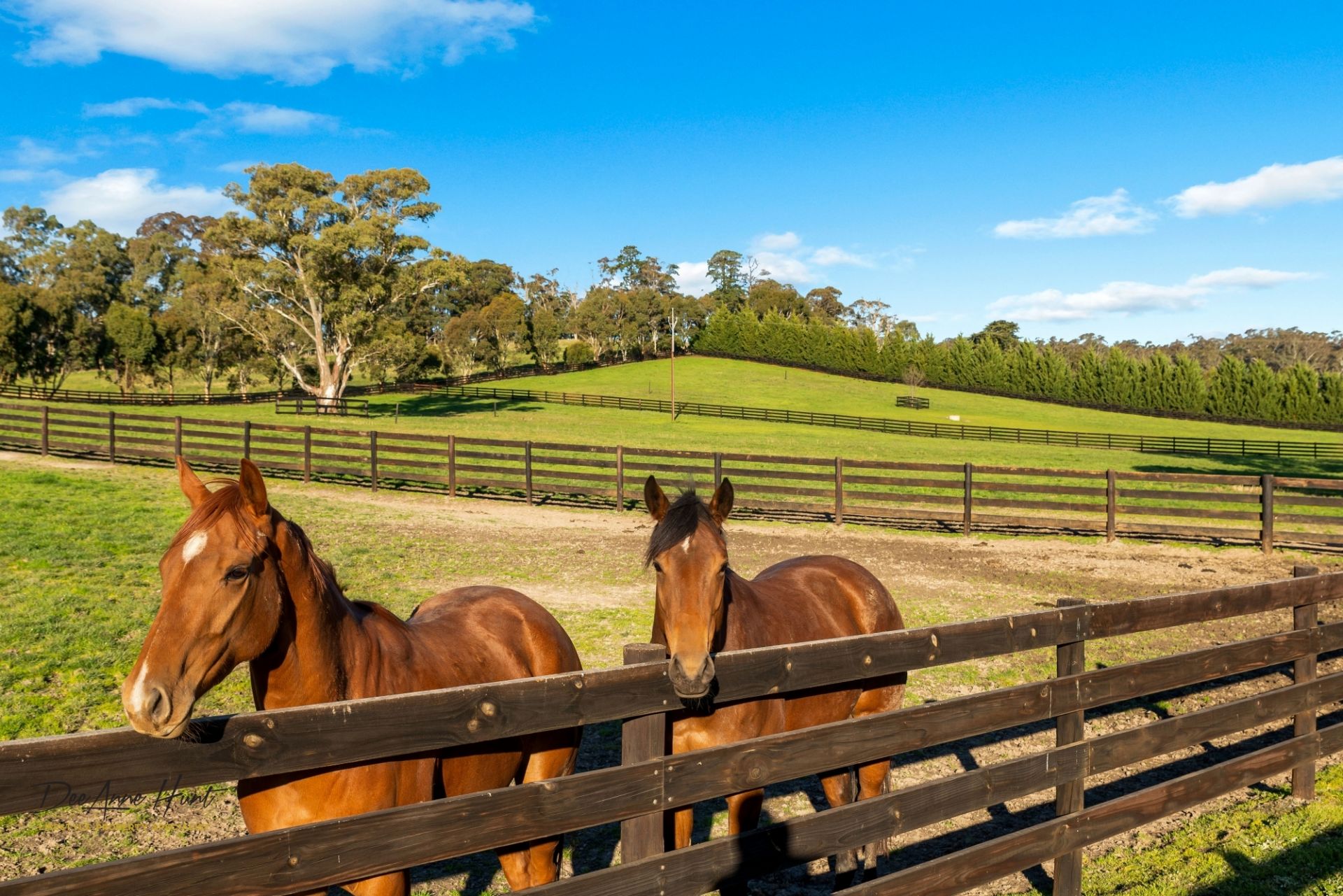 507 Echunga Road, Echunga Williams Real Estate