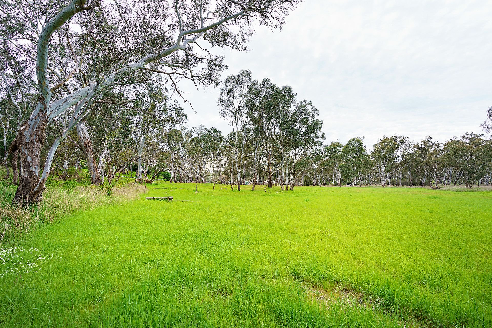 Real Estate For Sale Lot 19/ HarrowCasterton Road Harrow , VIC