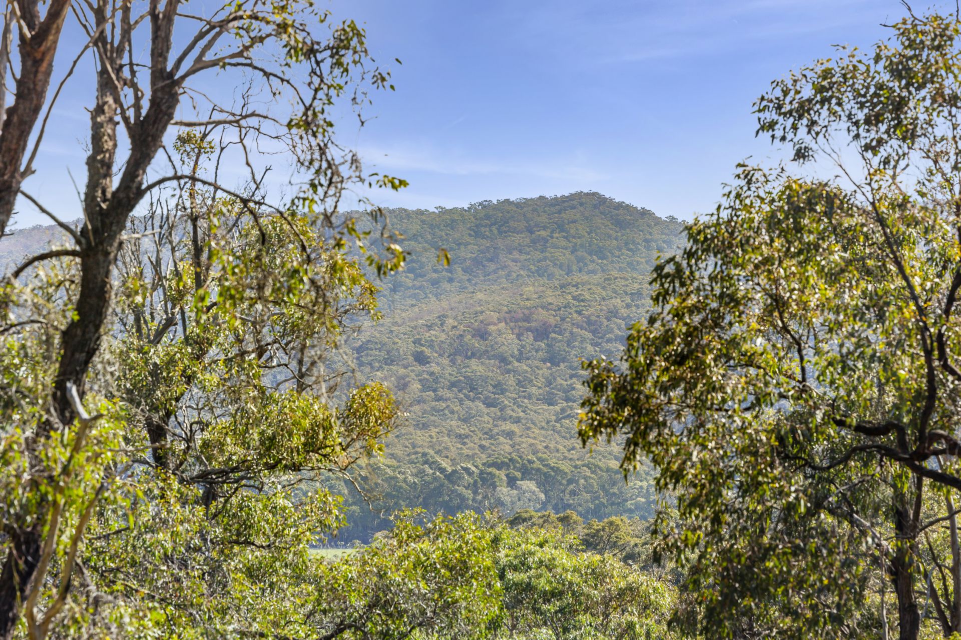 Real Estate For Sale 49 Hopkins Street Aireys Inlet , VIC