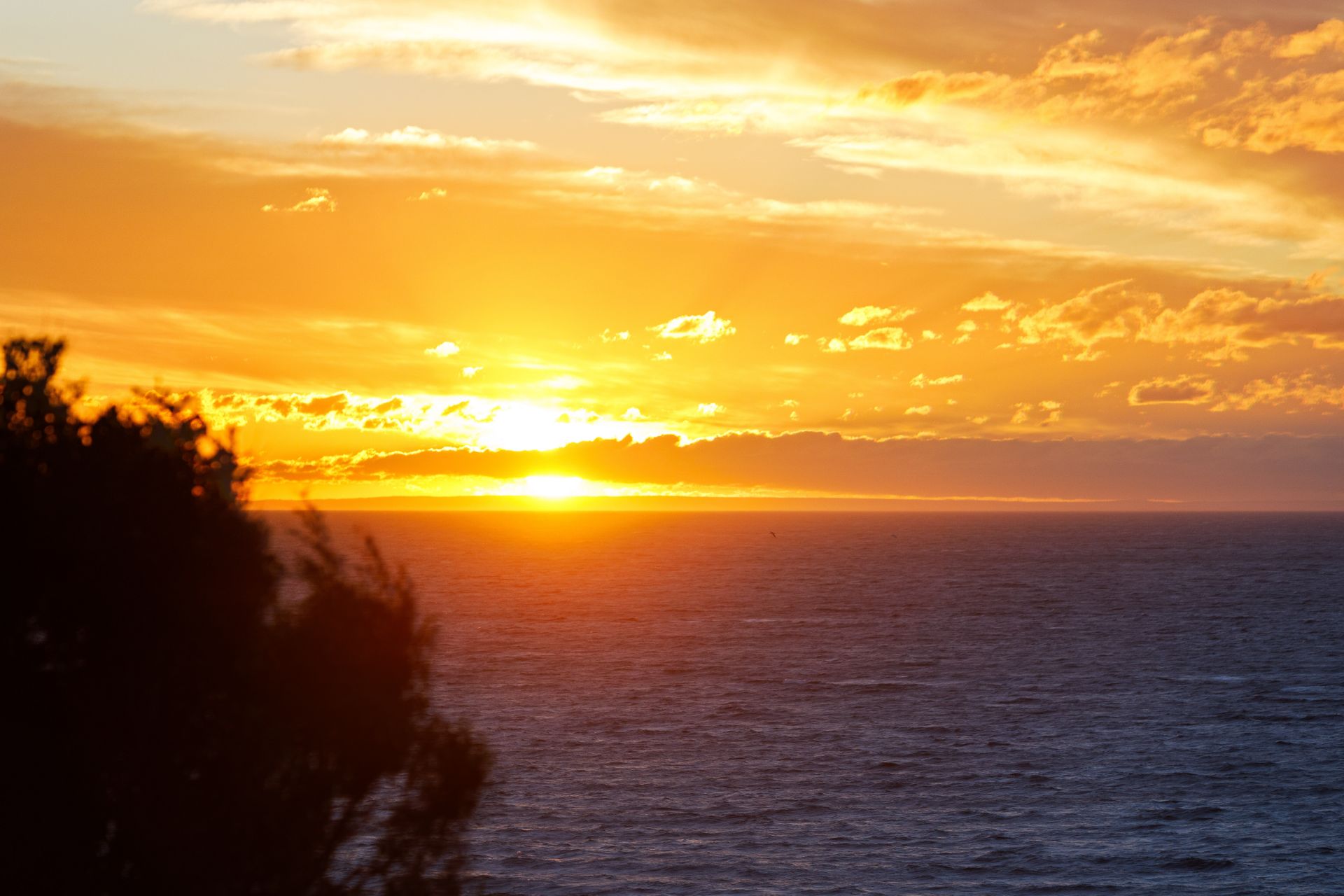 38C Violet Street, Frankston South OBrien Real Estate