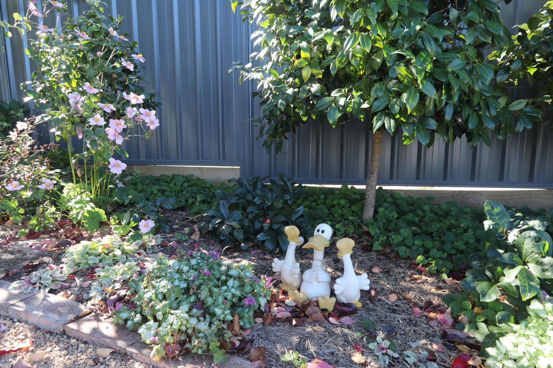 23 Belmore Street, Goulburn Goulburn First National Real Estate