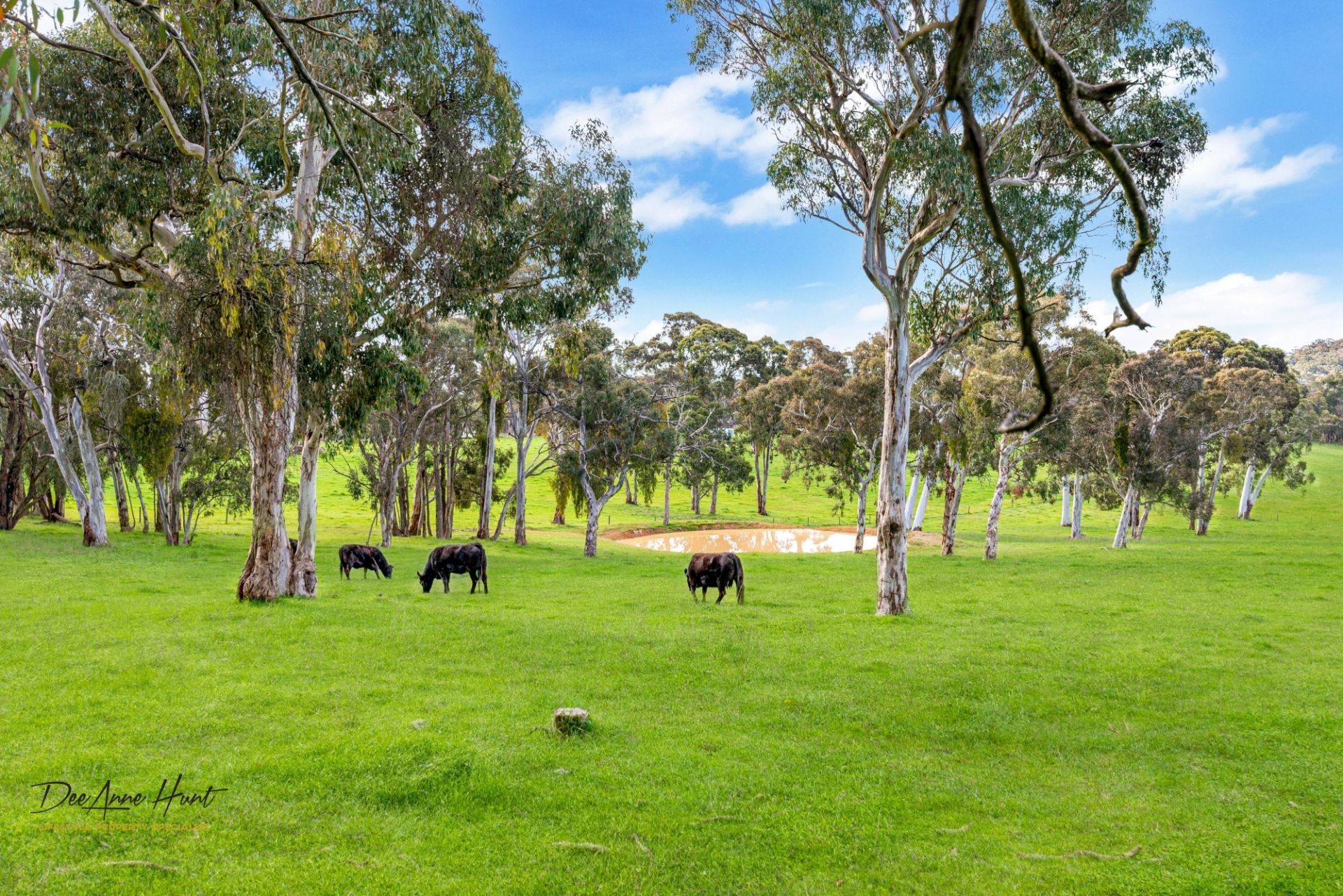 934 Strathalbyn Road, Biggs Flat Williams Real Estate