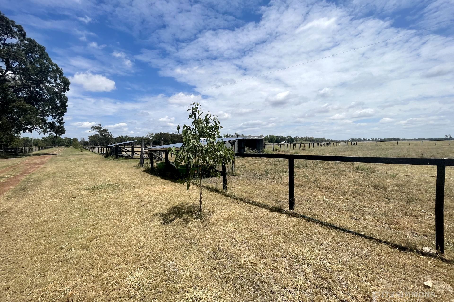 Dalby Fitzsimmons Real Estate