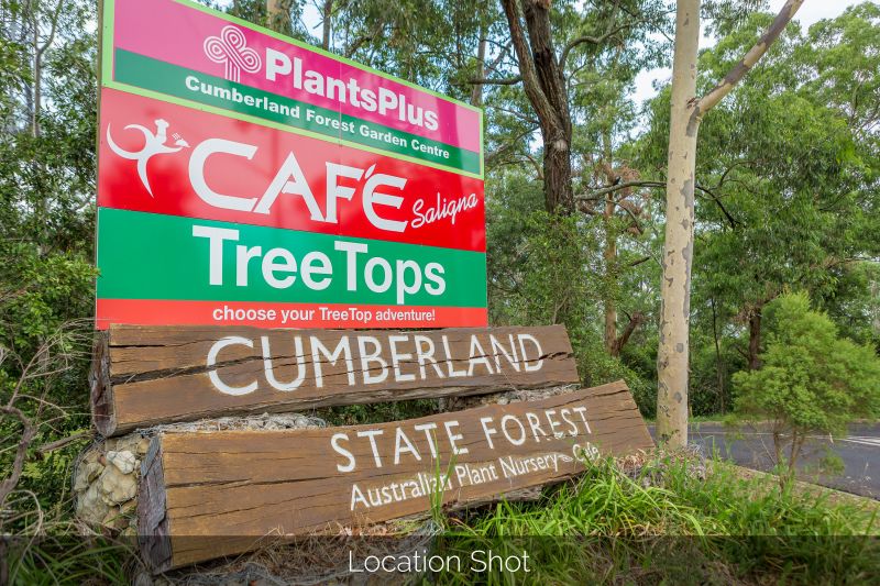 Real Estate For Sale 17 Highs Road West Pennant Hills , NSW