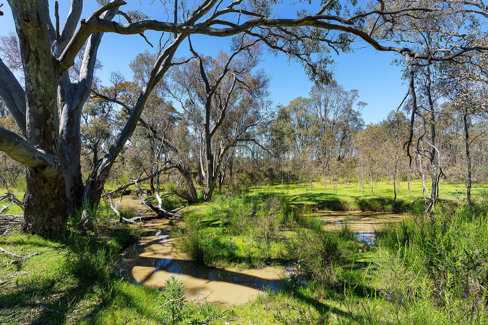 Real Estate For Sale Lot 2H/ Hylands Lane Heathcote , VIC