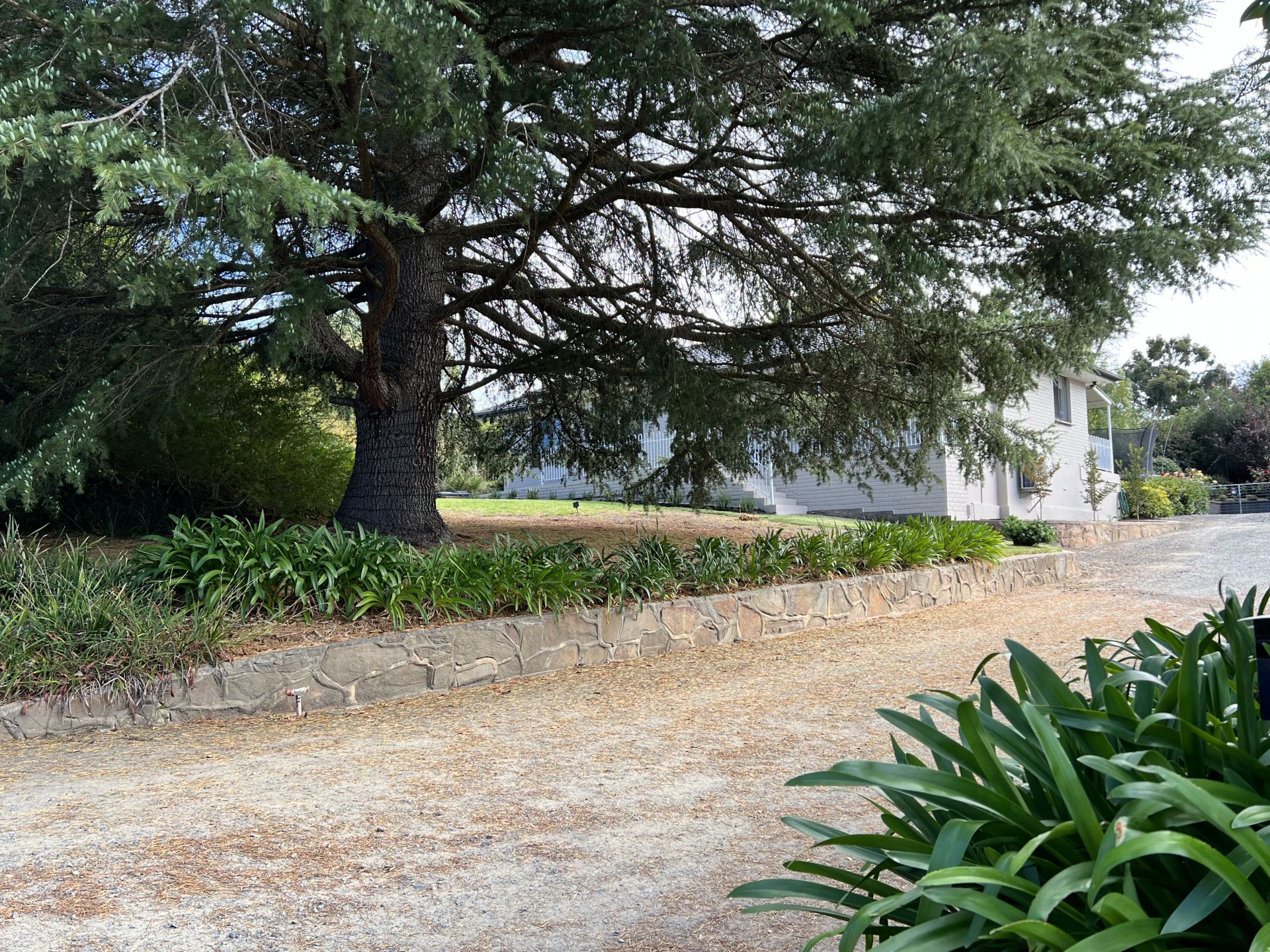 35 Moffett Street, Woodside Adcock Real Estate