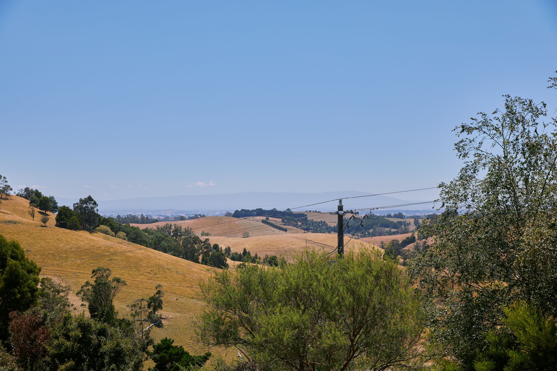 2519 KorumburraWarragul Road, Tetoora Road OBrien Real Estate