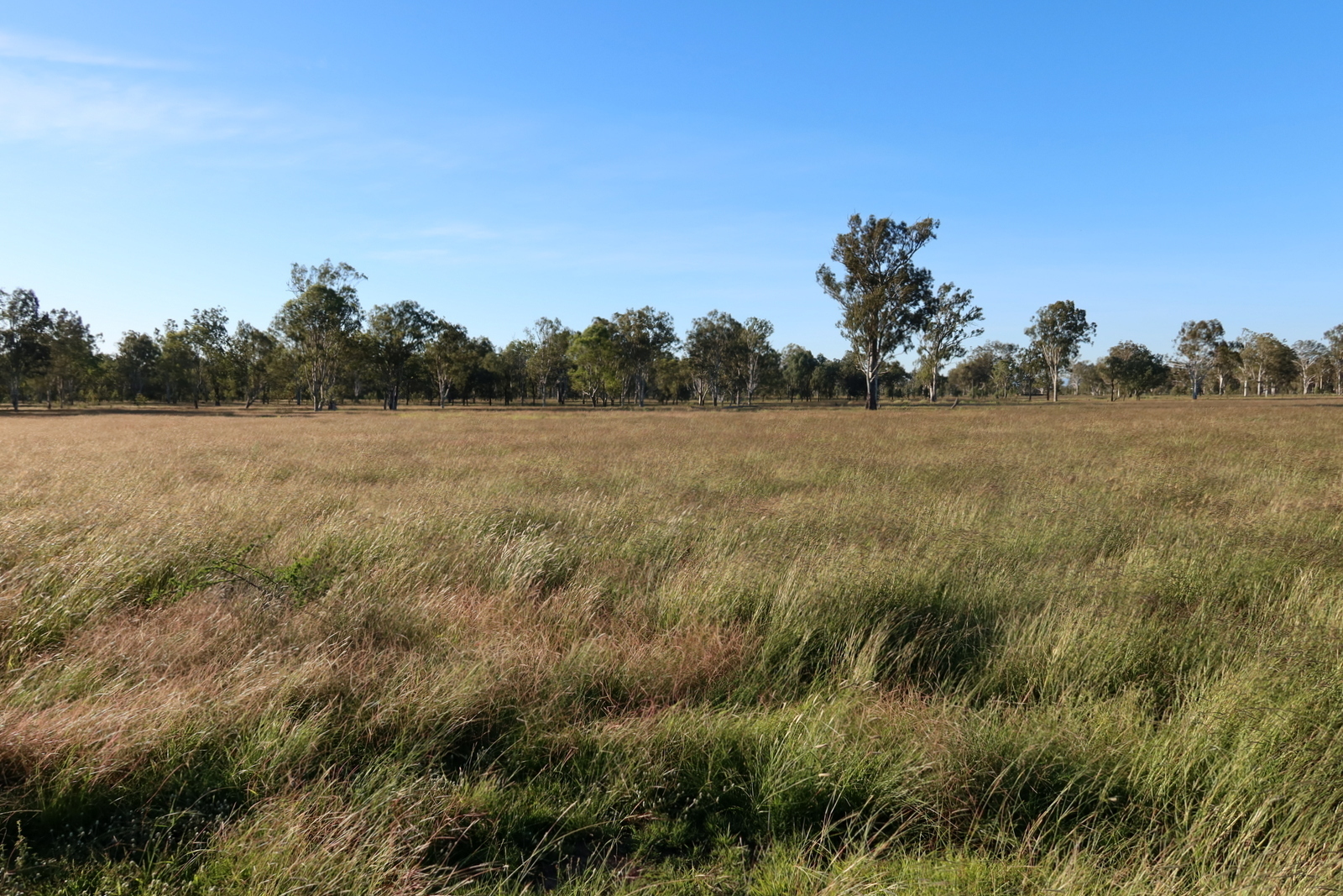Real Estate For Sale Lot 74 Middle Road Purga , QLD