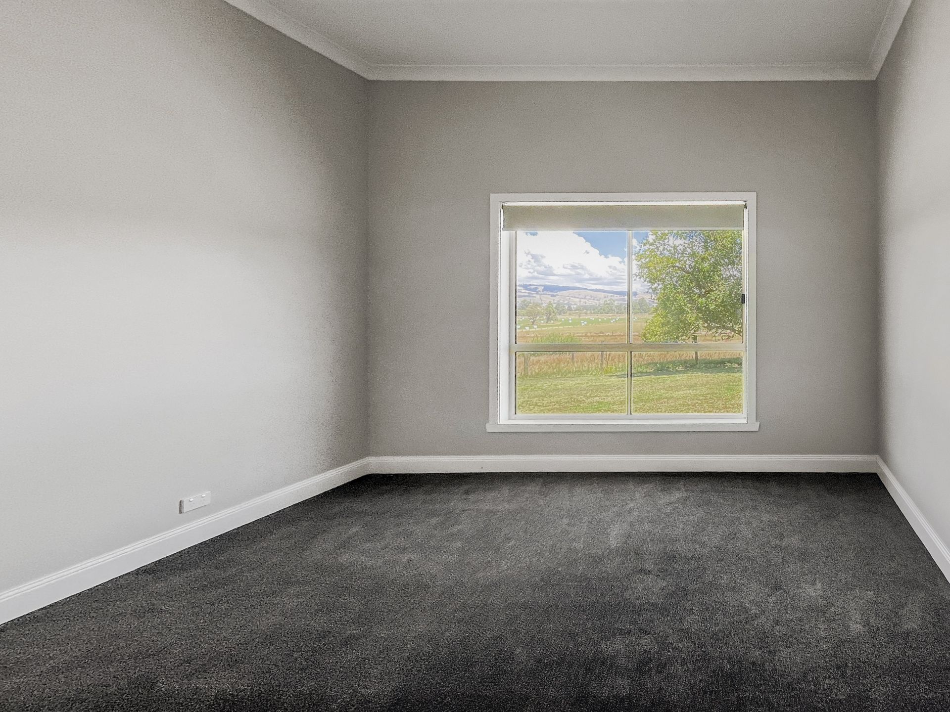 226 Little Moe River Road, Darnum OBrien Real Estate