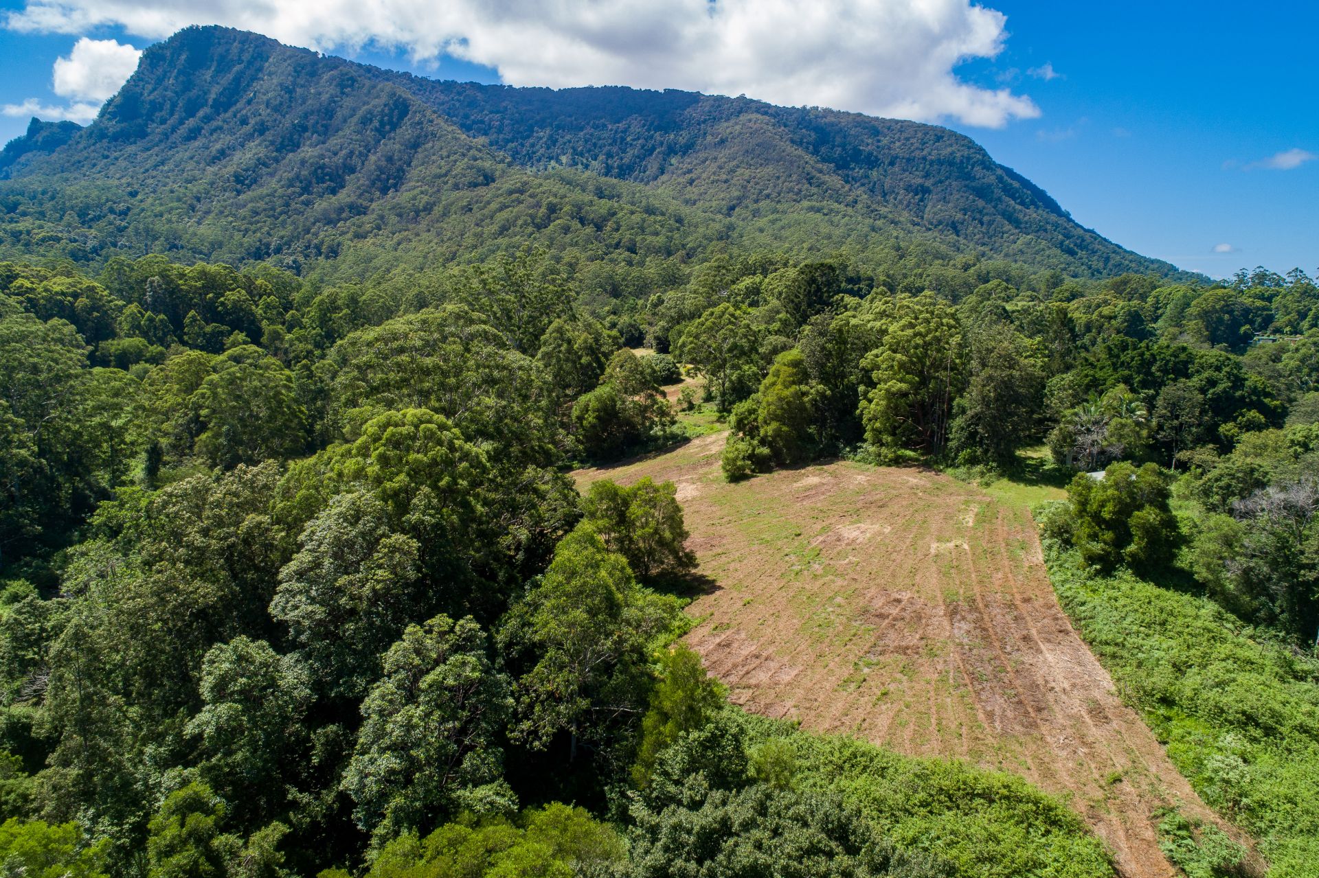 977 Blue Knob Road, Blue Knob Byron Bay Real Estate Agency