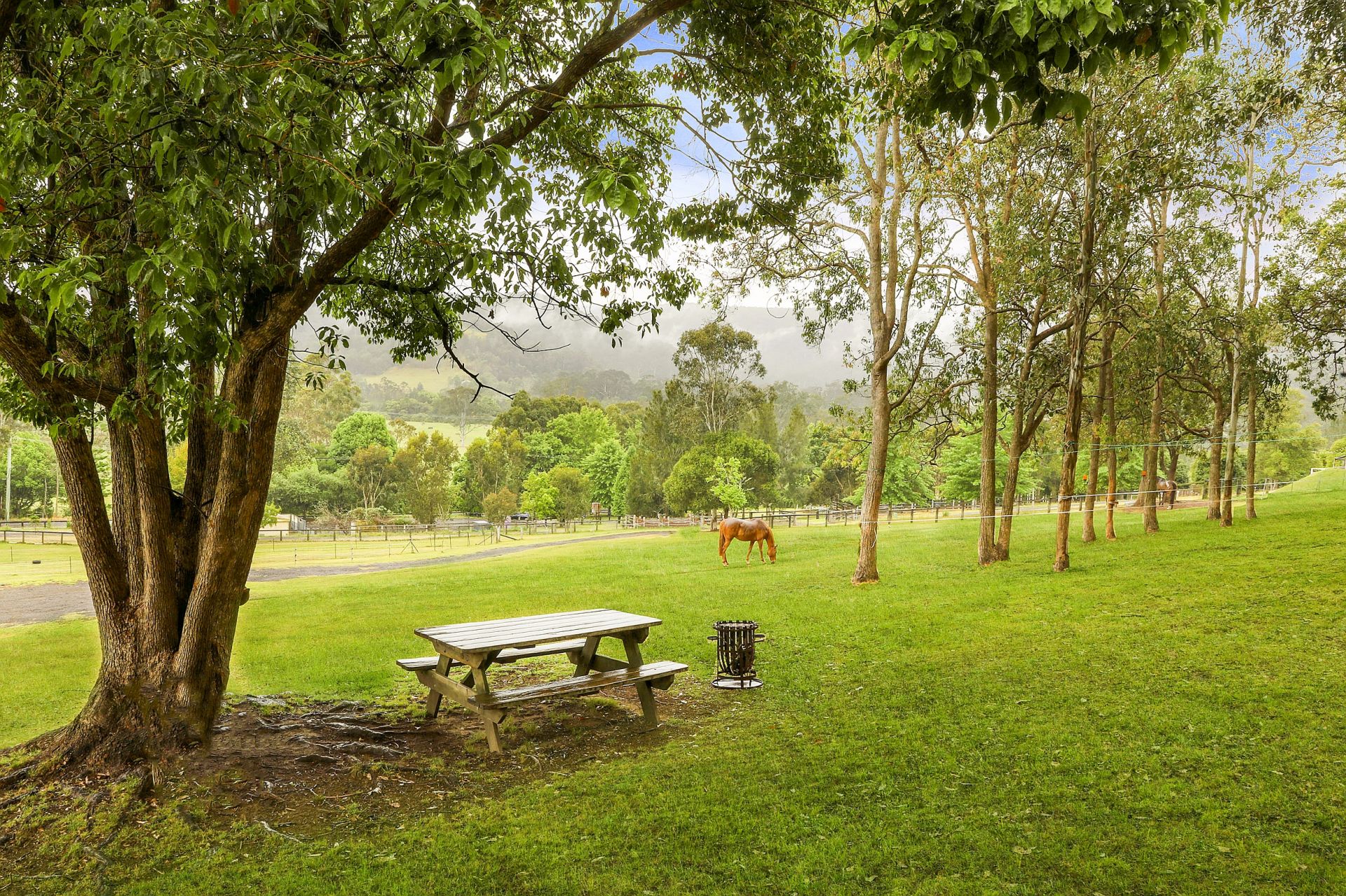 Real Estate For Sale 1380 Yarramalong Road Wyong Creek , NSW