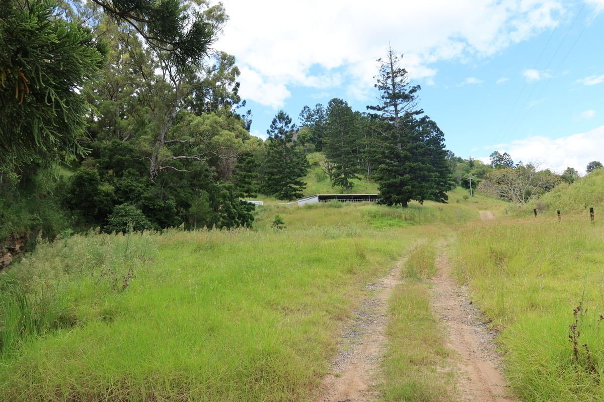 Real Estate For Sale 189A Snake Gully Road Palen Creek , QLD