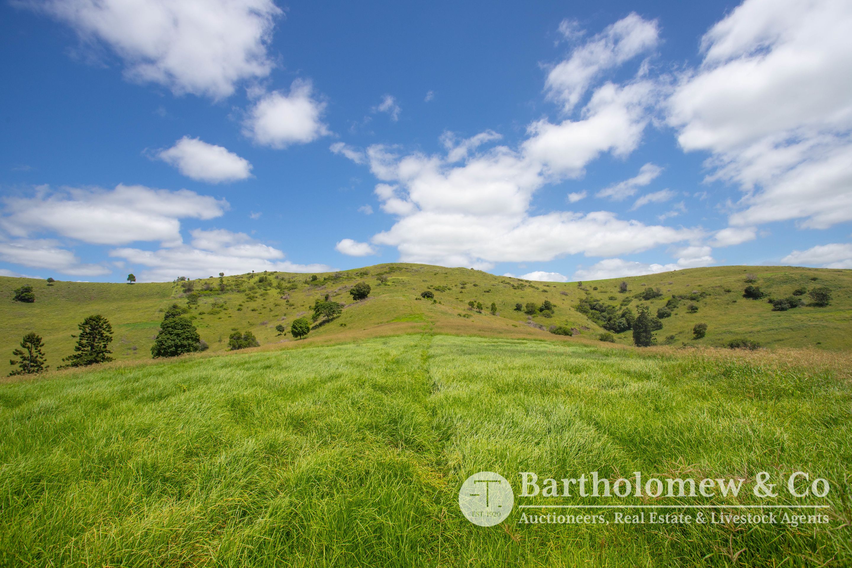 Real Estate For Sale Cannon Creek Road Cannon Creek , QLD