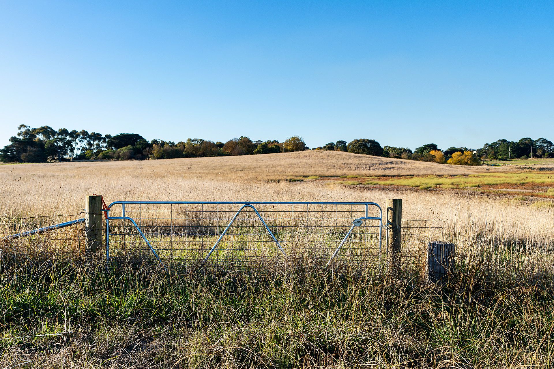Real Estate For Sale Lot 6/ Glenelg Highway Wickliffe , VIC