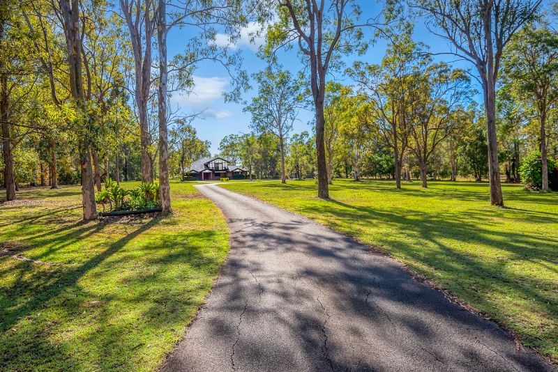 Real Estate For Lease 52 Lindenthal Road Park Ridge , QLD