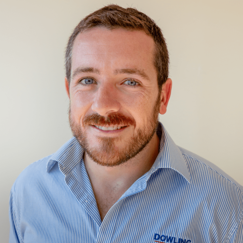 Home Dowling Real Estate Raymond Terrace