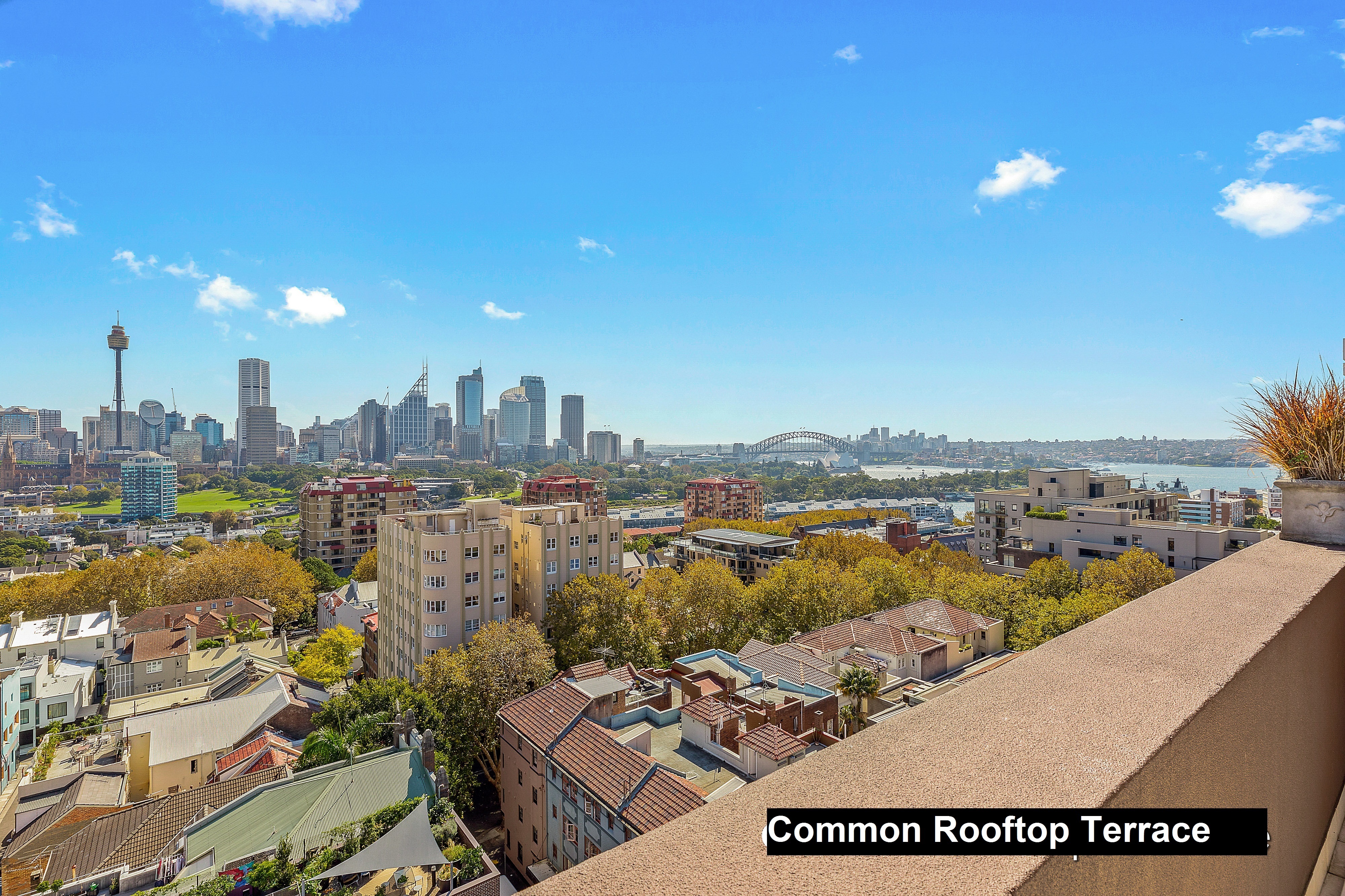 Real Estate For Lease Potts Point , NSW