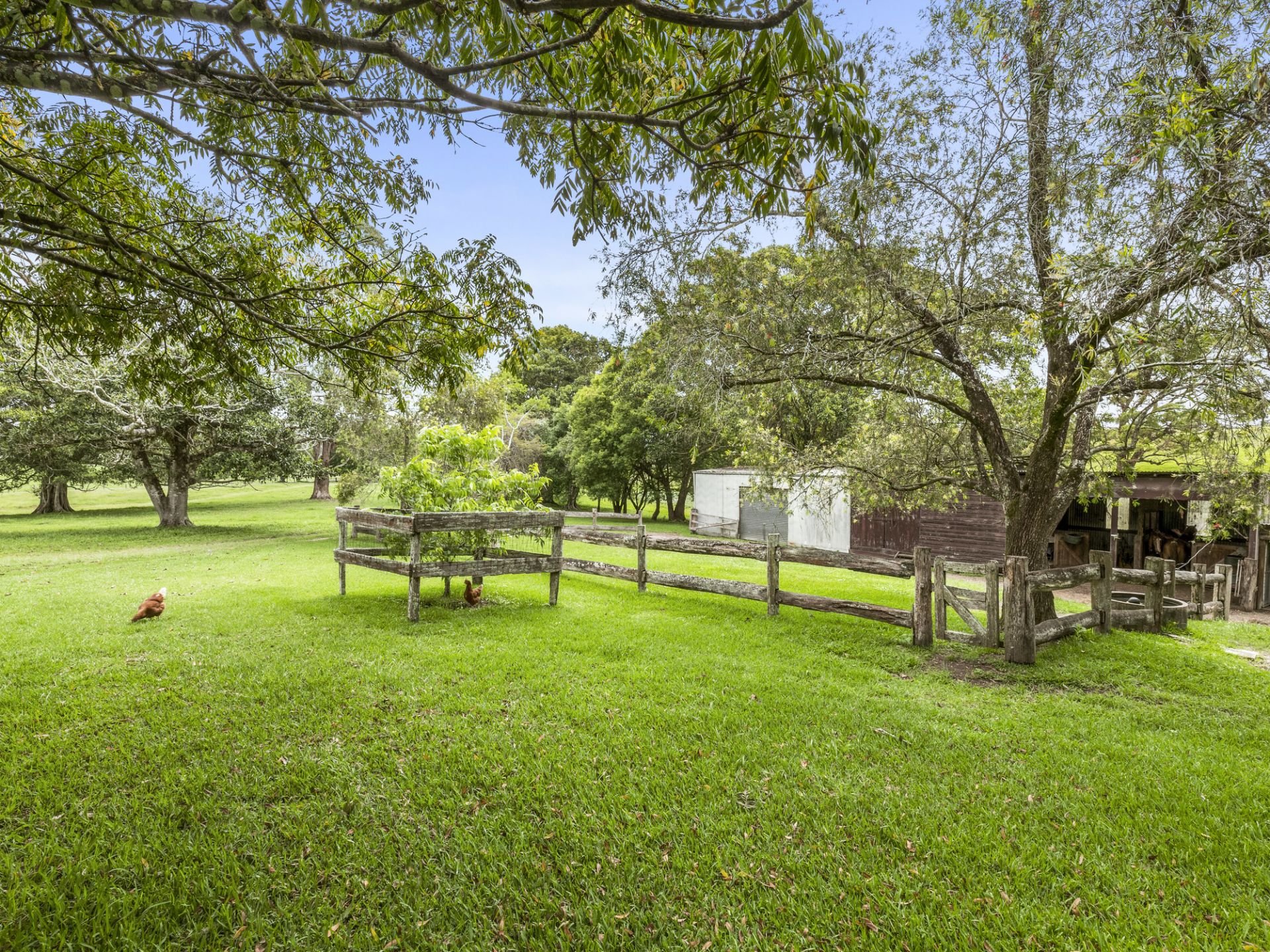 Real Estate For Sale 937 North Bank Road Raleigh , NSW