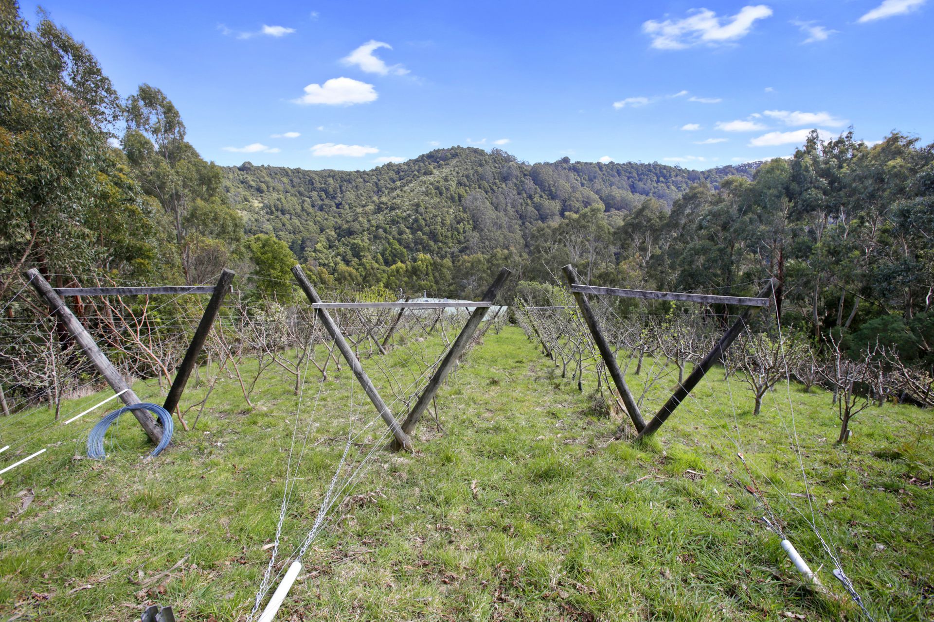 Real Estate For Sale 390 Wild Dog Road Apollo Bay , VIC