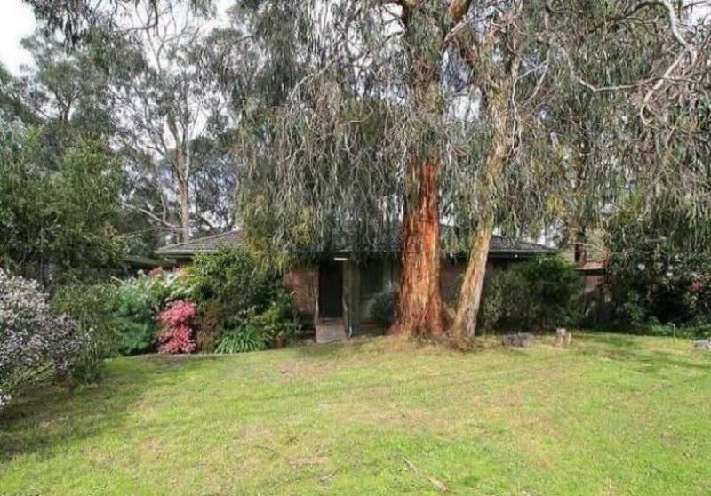 50 Terrys Avenue, Belgrave OBrien Real Estate