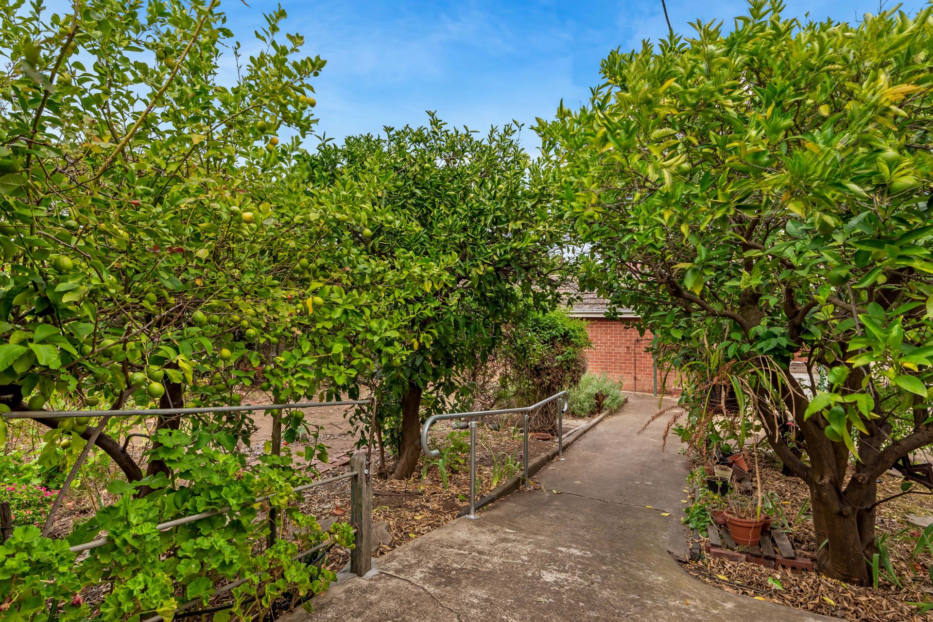 373 Fullarton Road, Fullarton Williams Real Estate