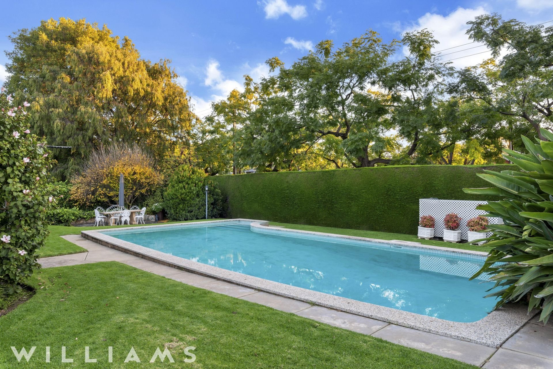 132 Grant Avenue, Toorak Gardens Williams Real Estate