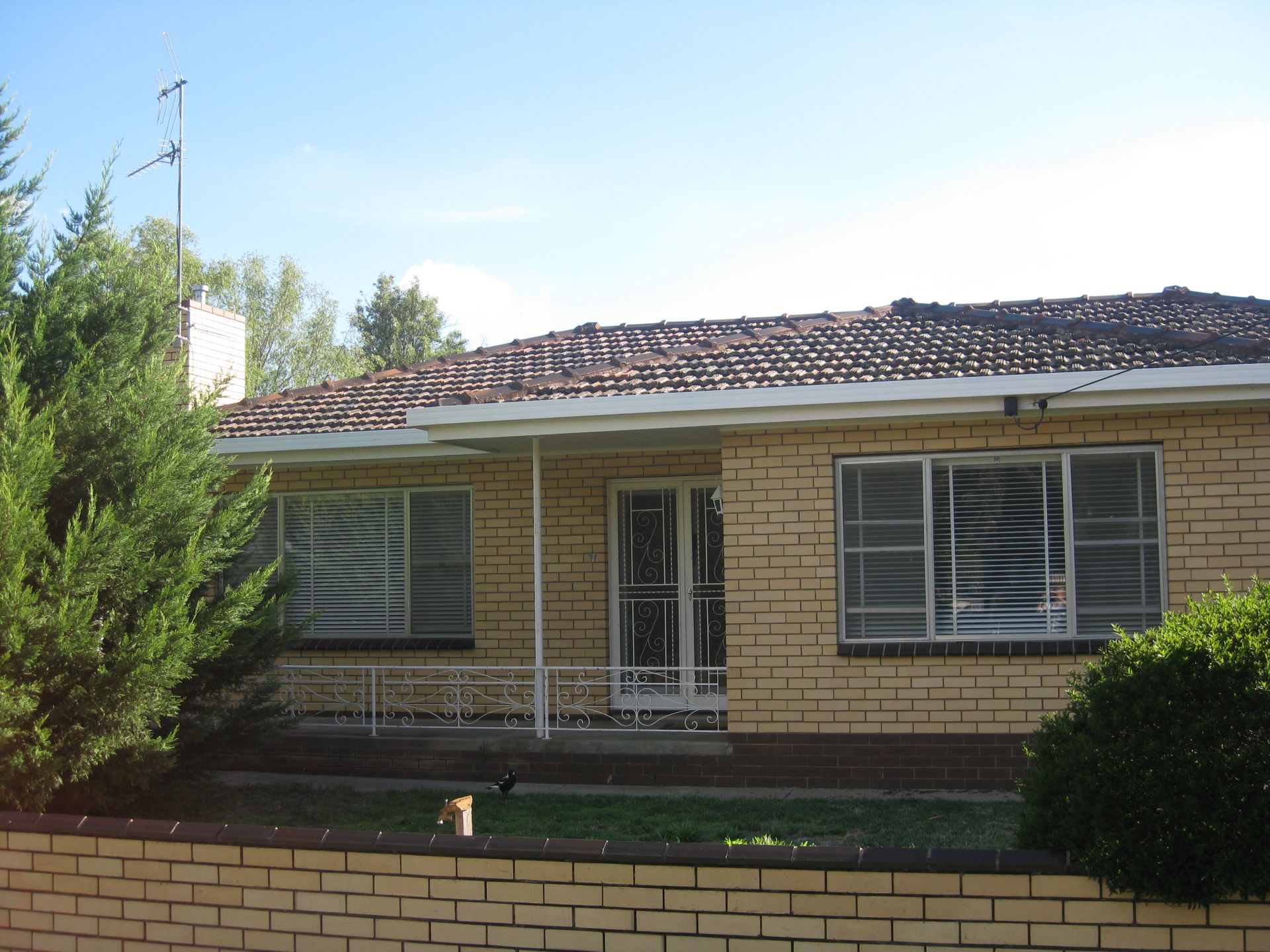 71 Lily Street, Bendigo DCK Real Estate