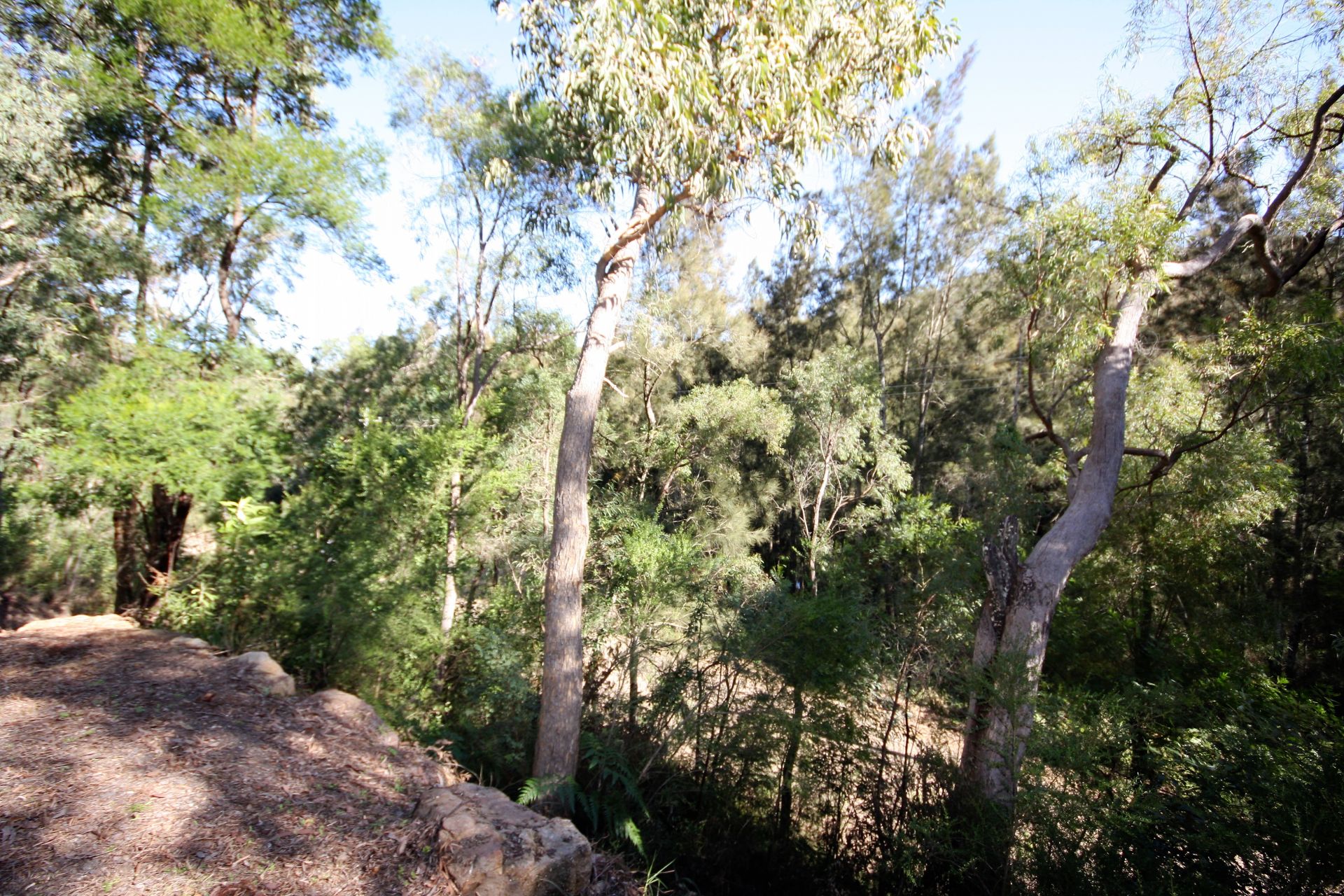 Real Estate For Sale 249 bs Creek Road bs Creek , NSW