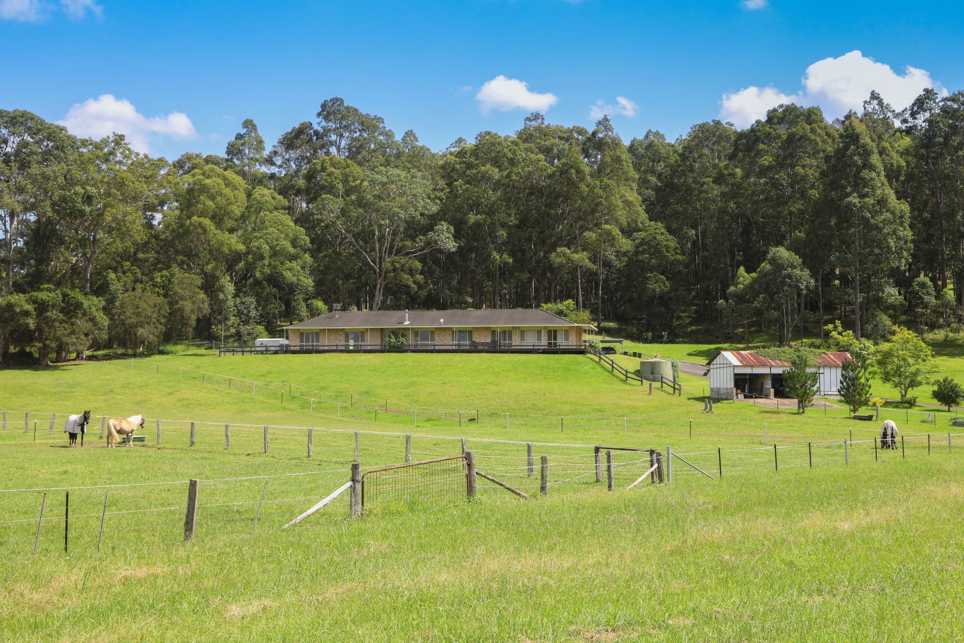 Real Estate For Sale 226 Jilliby Road Jilliby , NSW