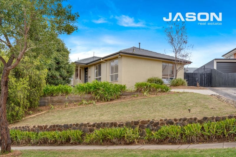 Home Jason Real Estate