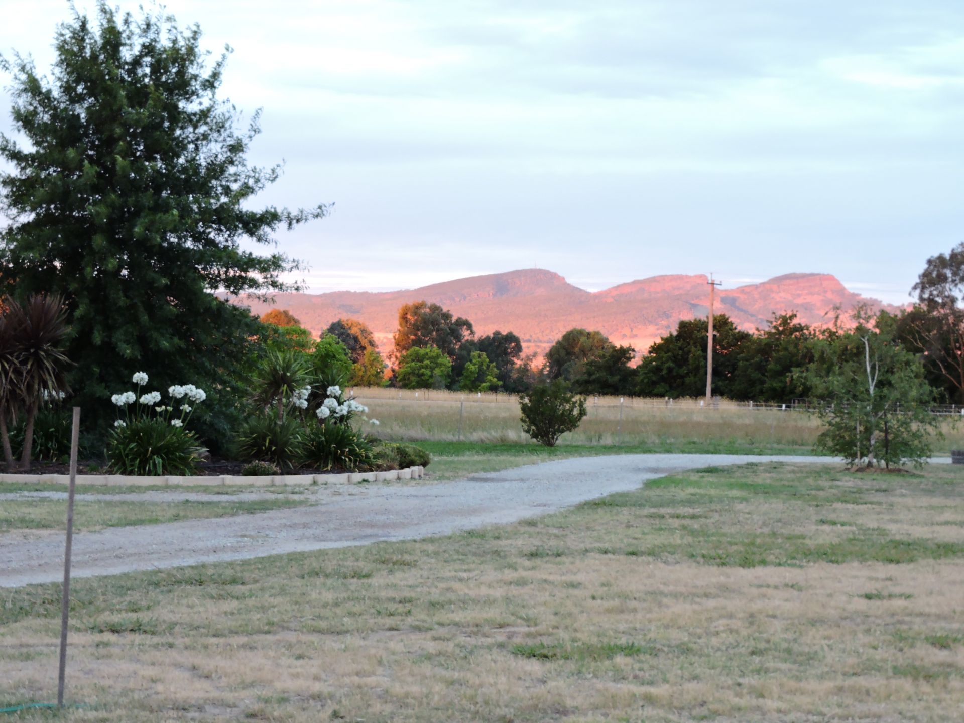 787 Gerogery Road, Table Top Kane Real Estate