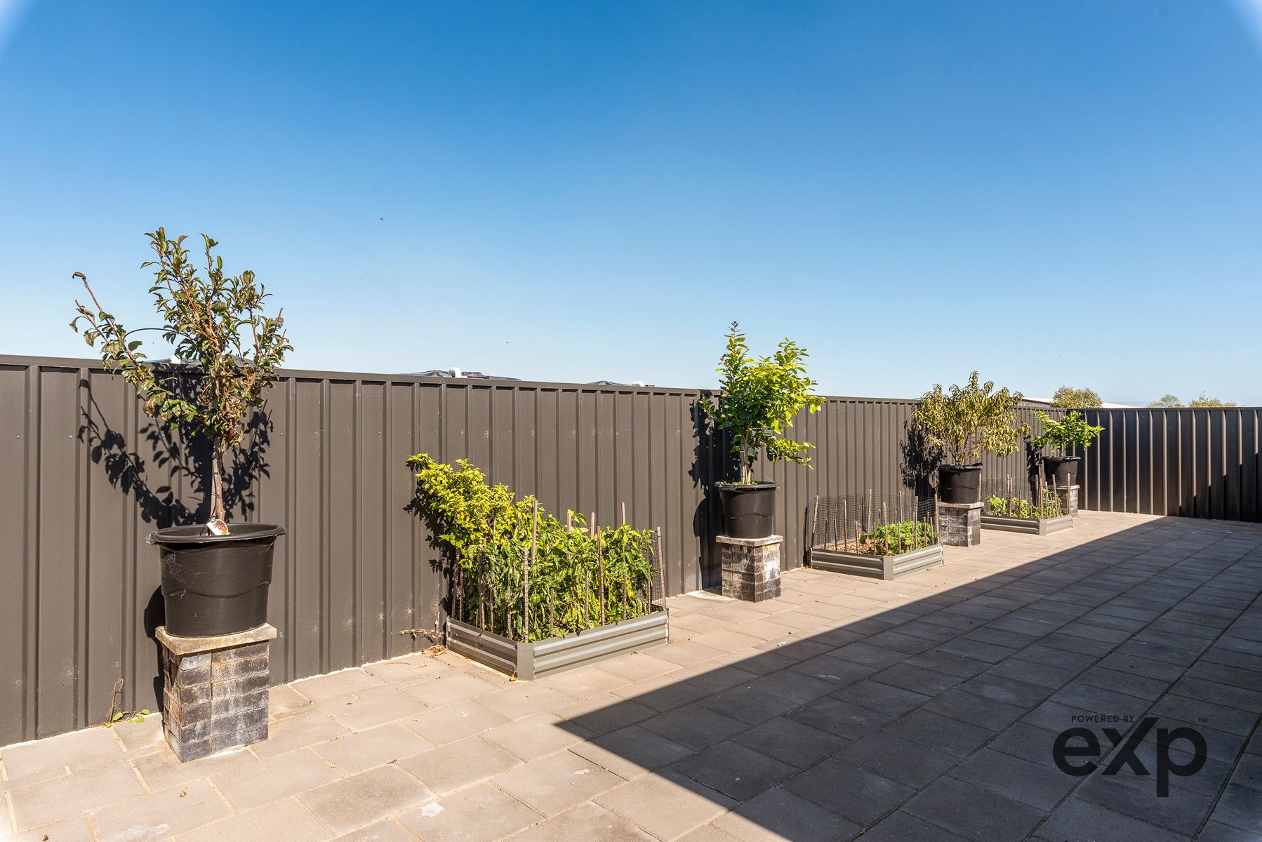 eXp Australia Property