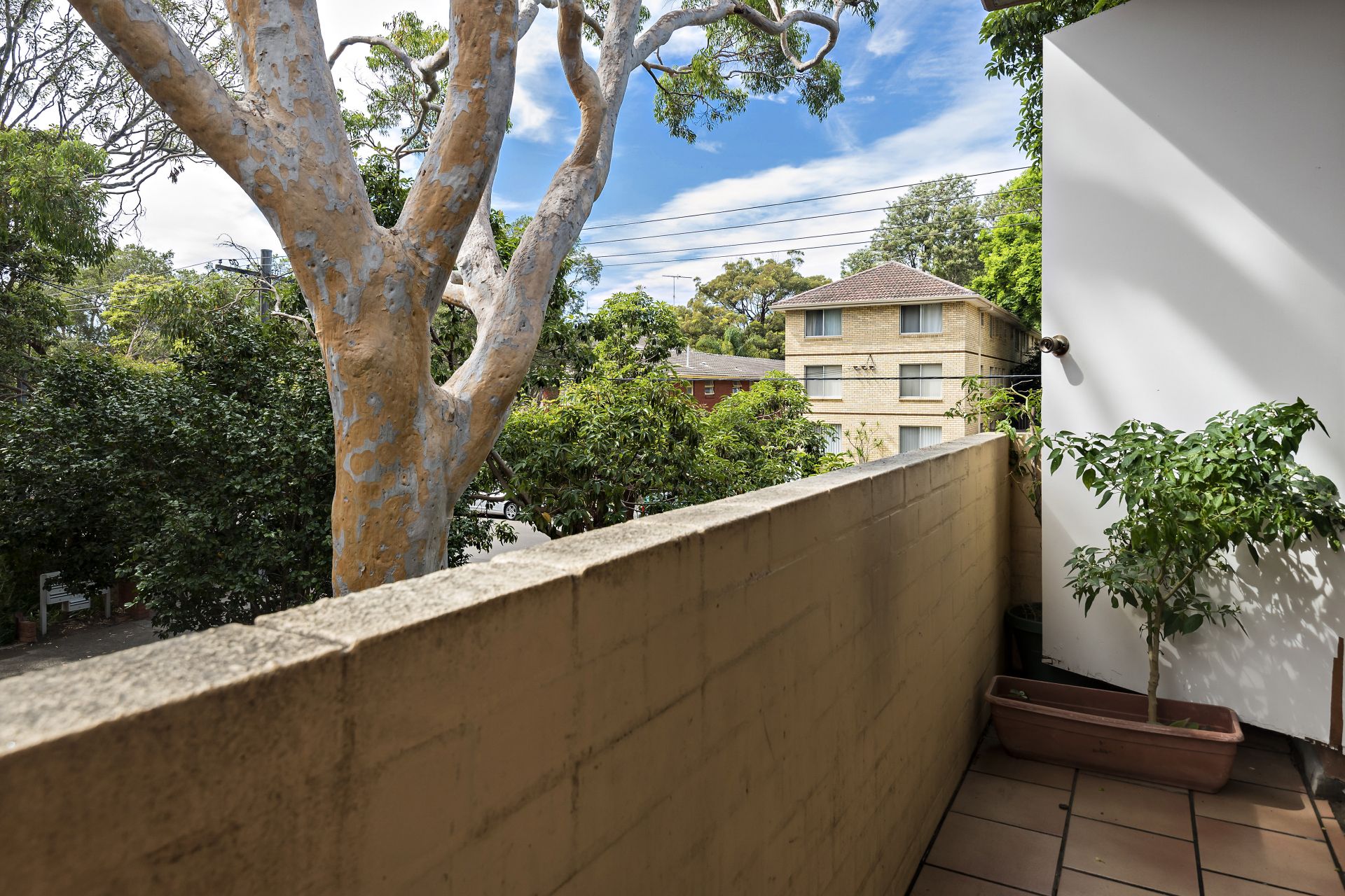 Real Estate For Sale 3/33 Lismore Avenue Dee Why , NSW