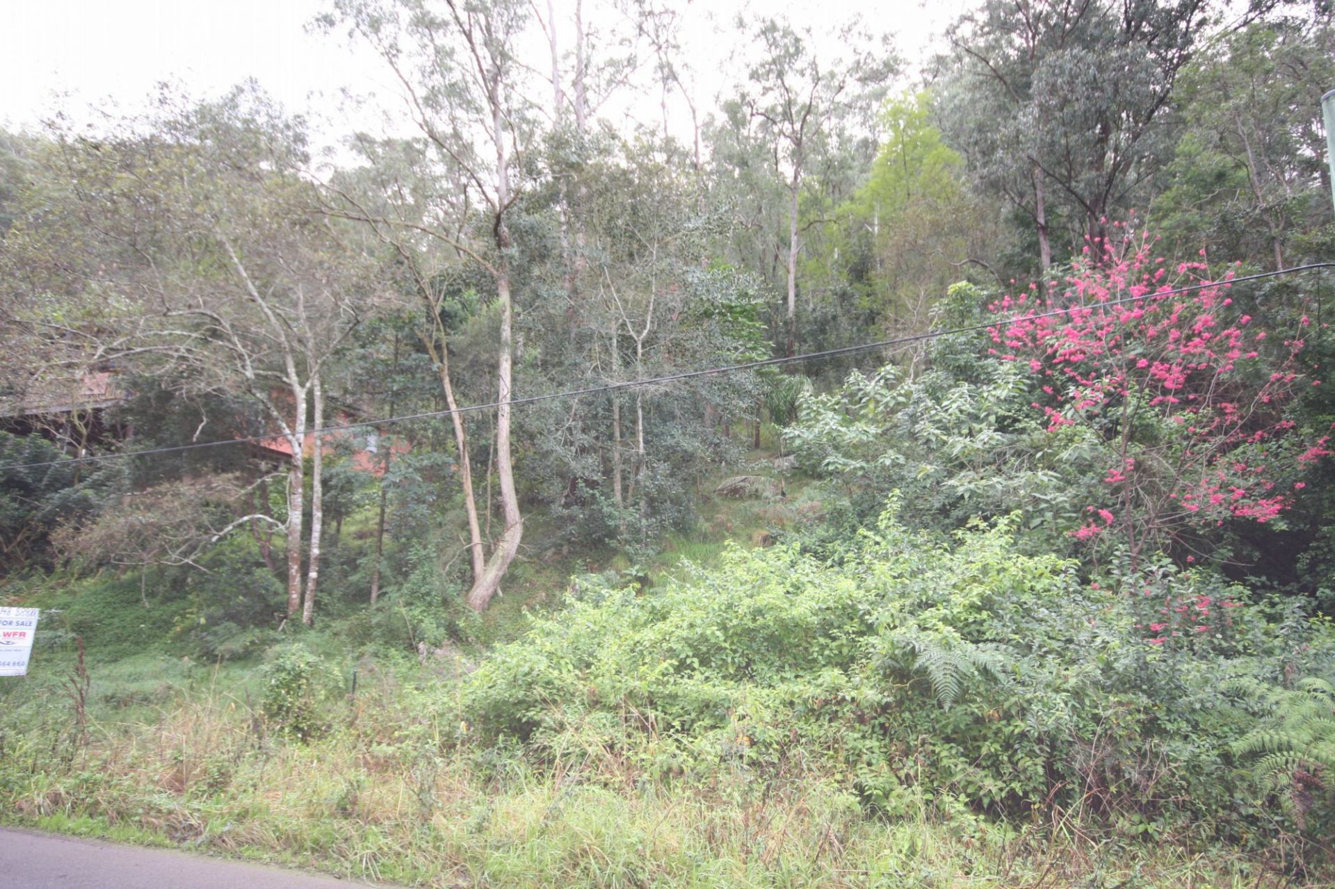 Real Estate For Sale Wisemans Ferry , NSW