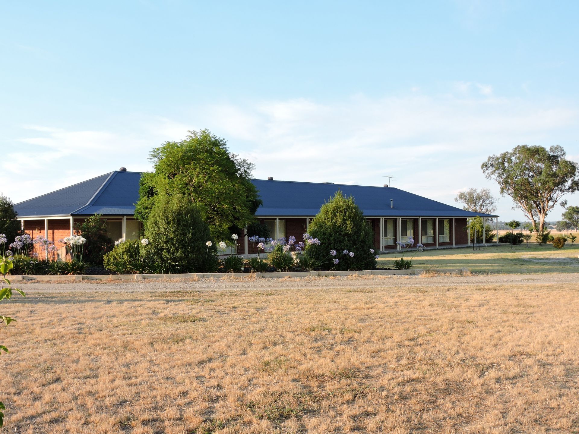 787 Gerogery Road, Table Top Kane Real Estate