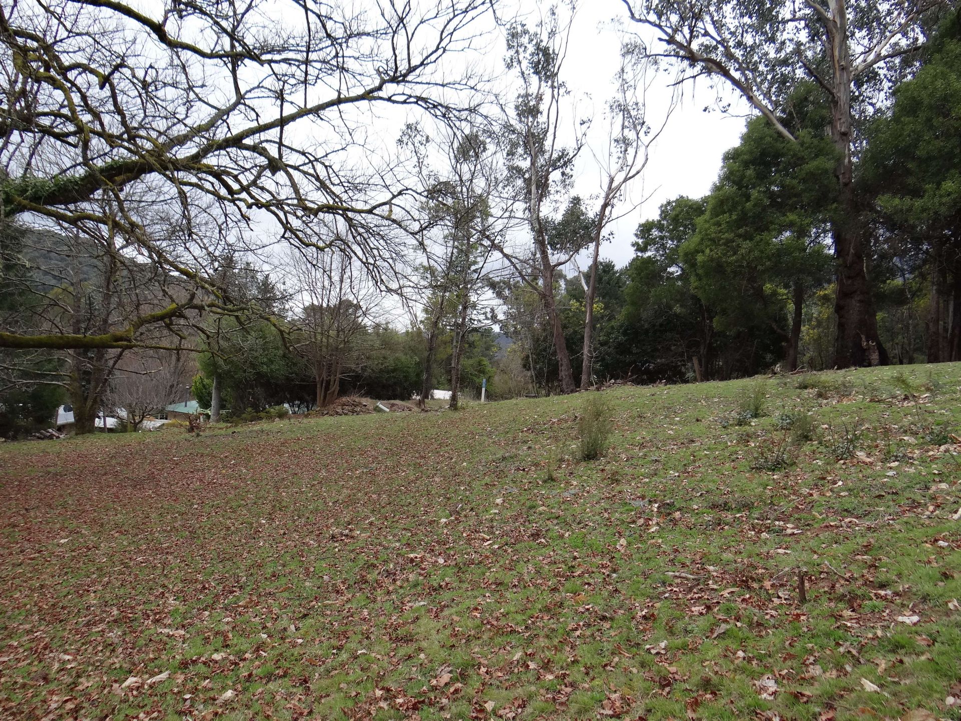 1/6 Howmans Lane, Harrietville Dickens Real Estate