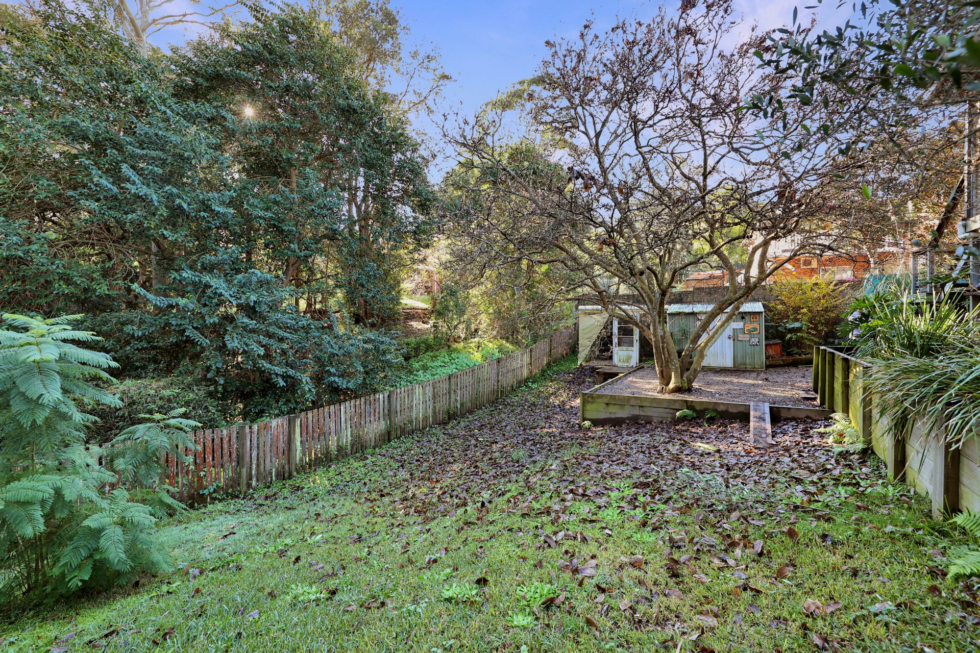 11 Louisa Avenue, Cardiff Street Property