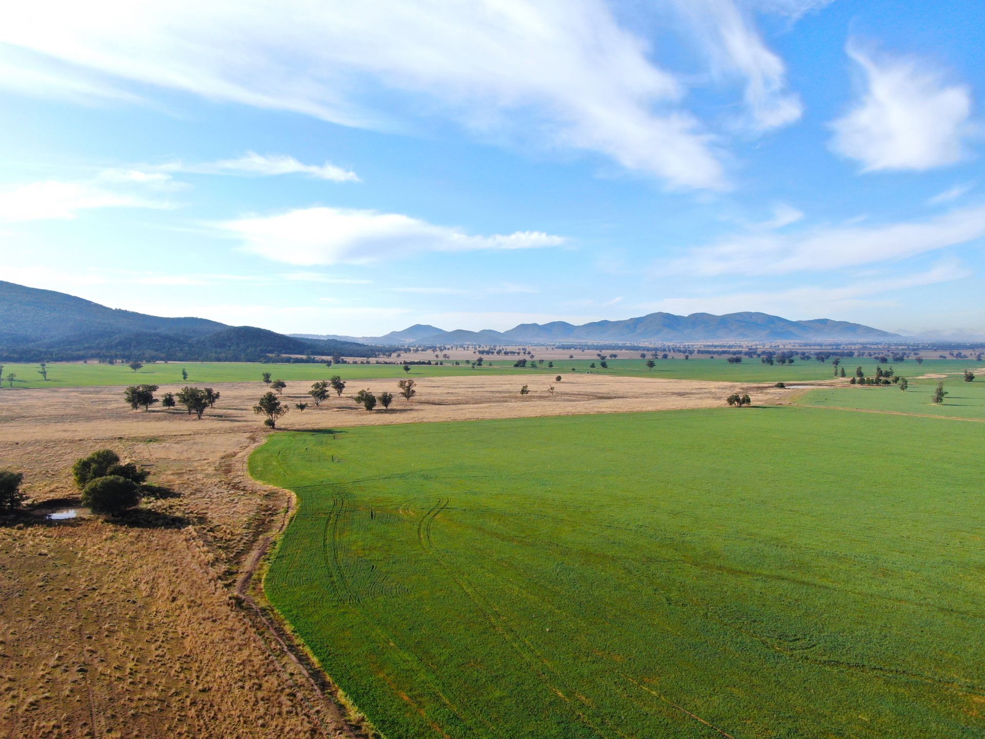 Dripping Rock Road, Gunnedah Inglis Rural Property