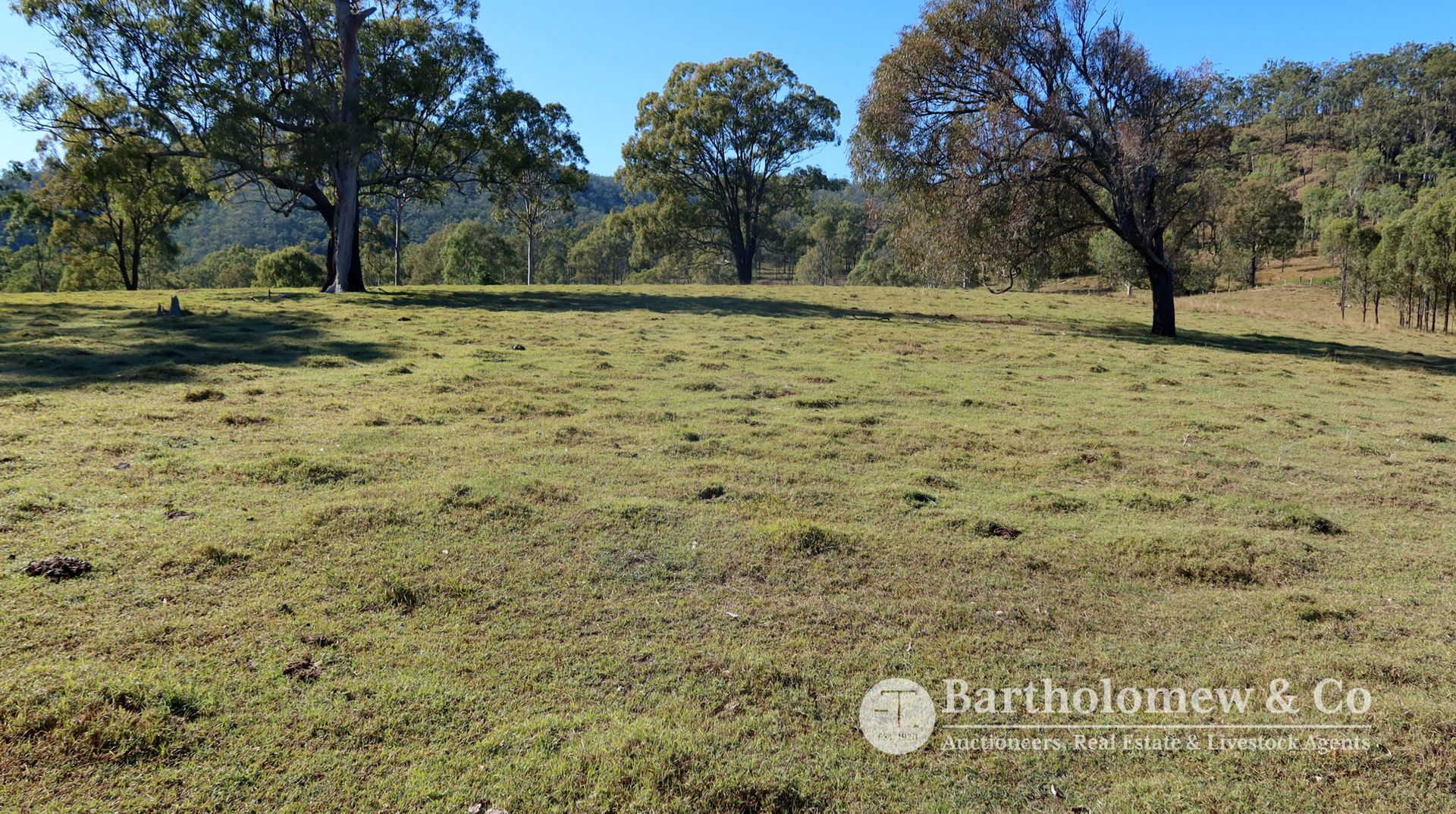 Real Estate For Sale Upper Allan Creek Road Bromelton , QLD