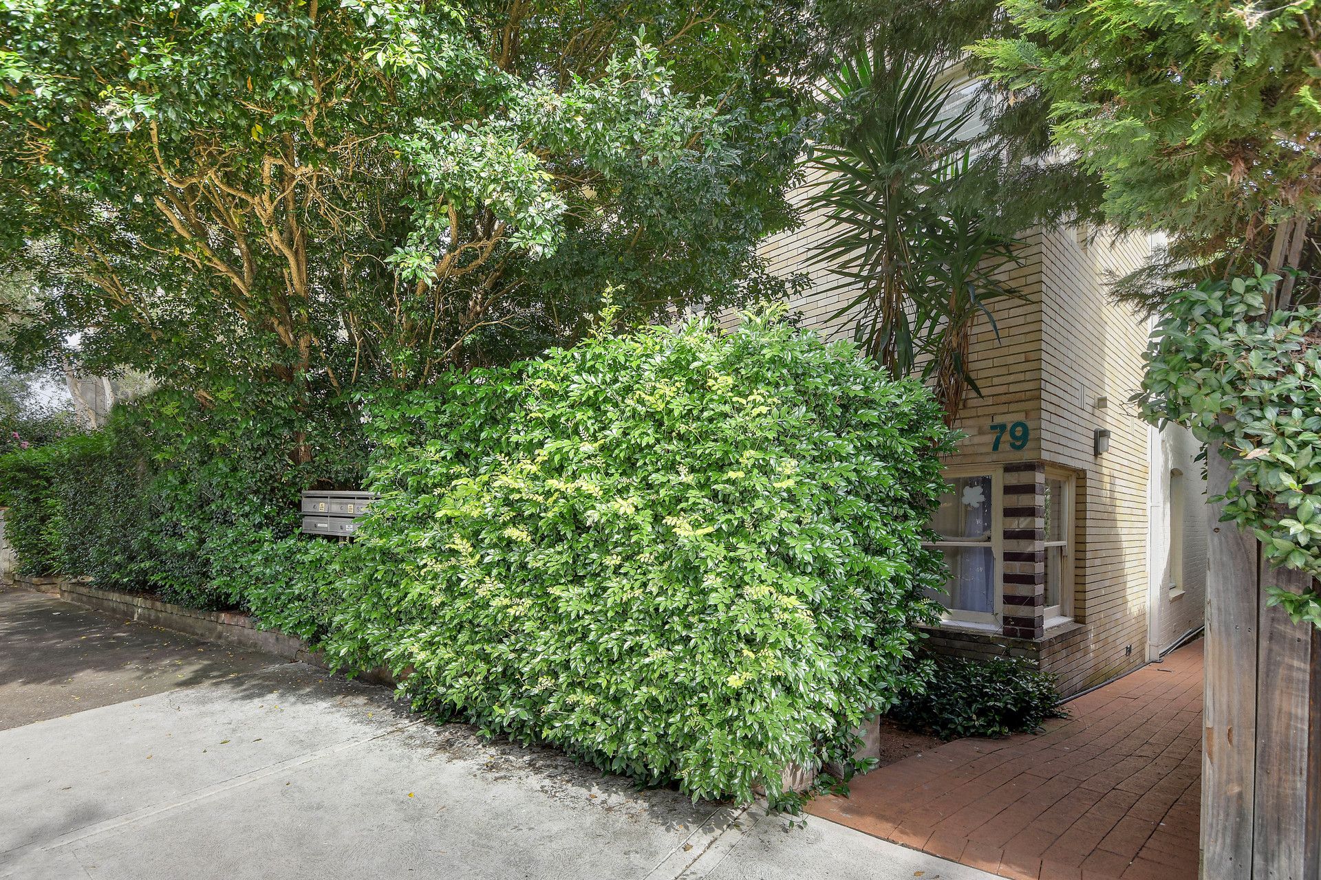 Real Estate For Lease 3/79 Kurraba Road Kurraba Point , NSW